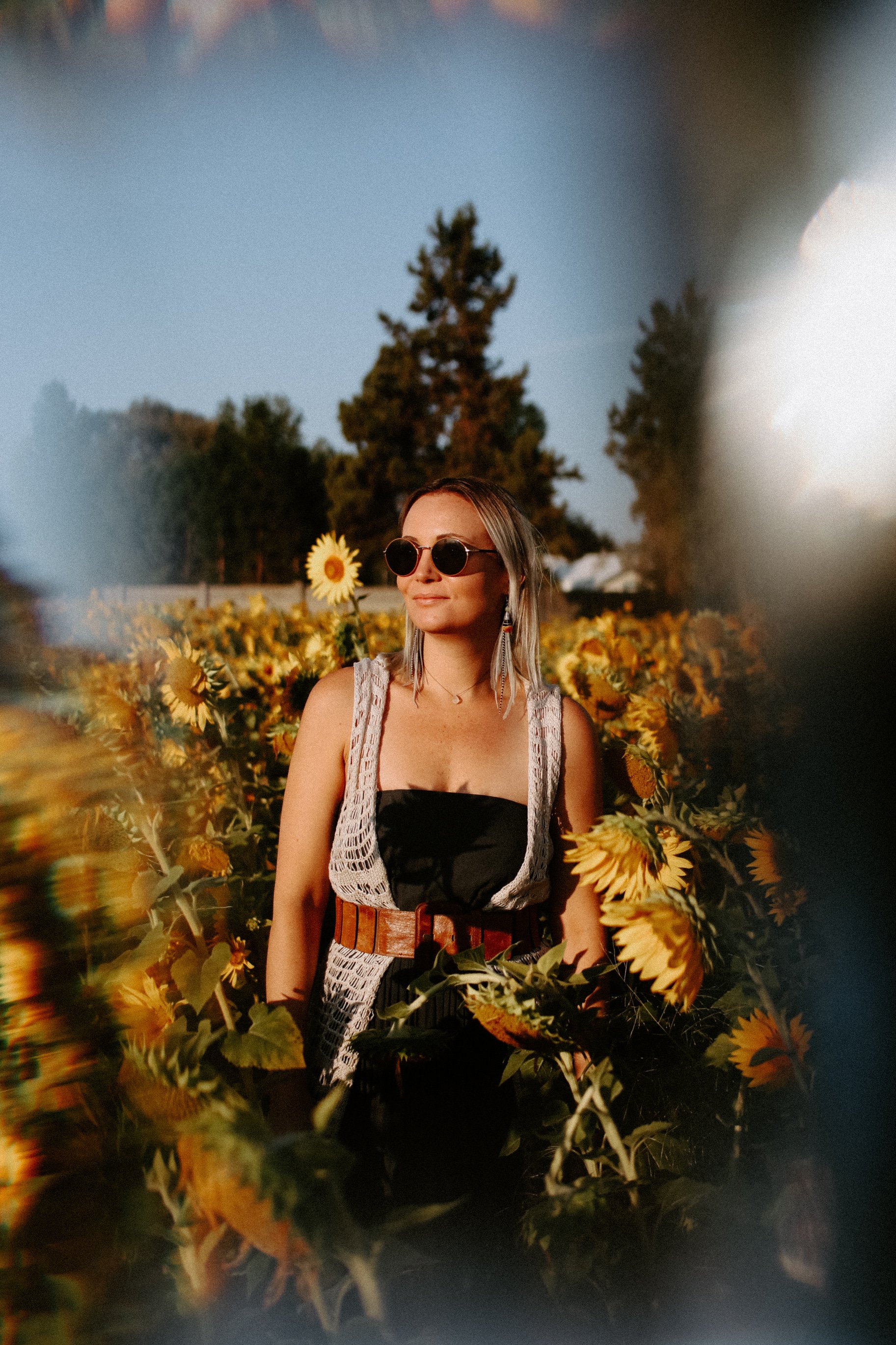 Sunflowers Cat Dossett I Take Photos-63.jpg