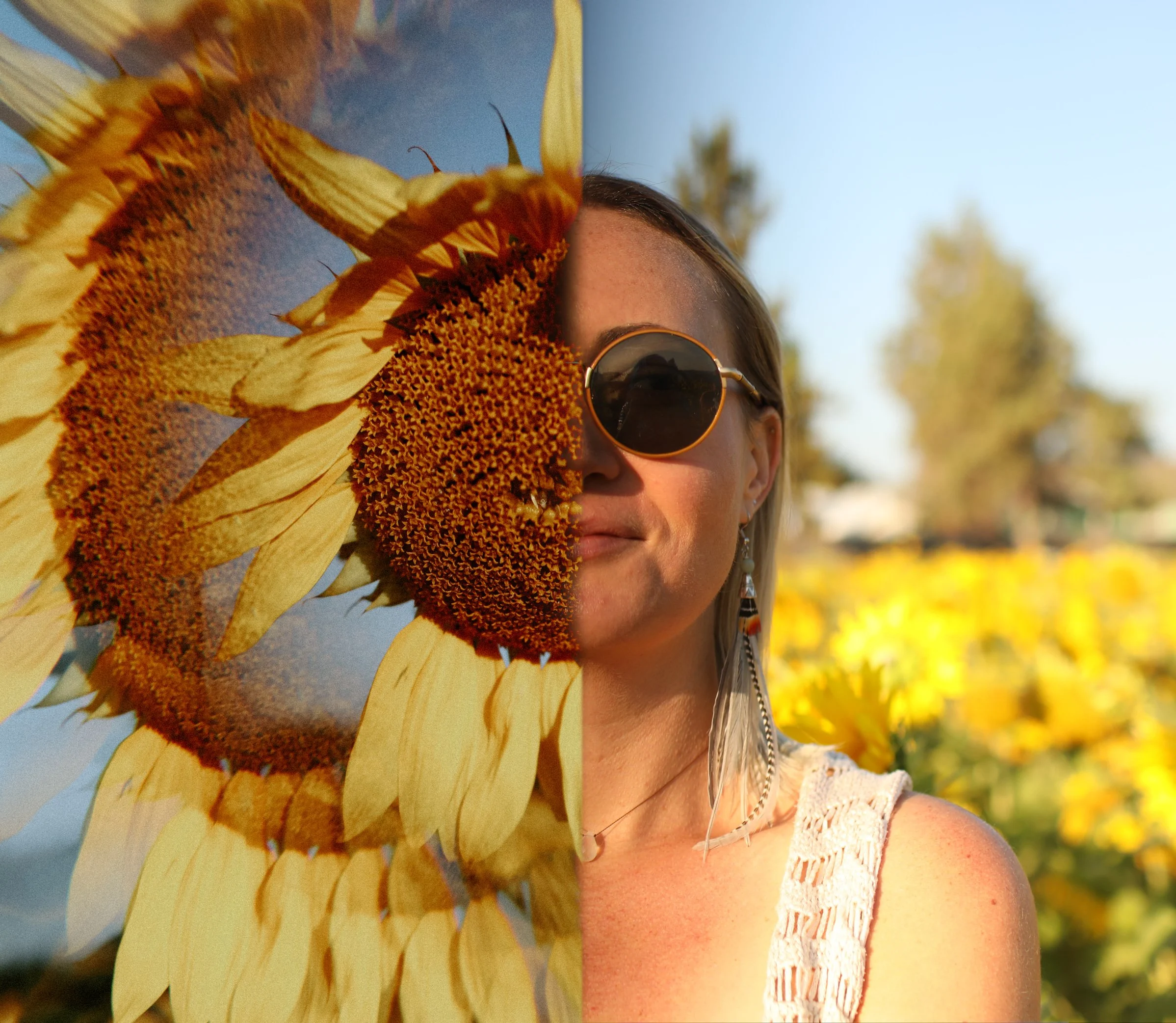 Sunflowers Cat Dossett I Take Photos-78.jpg