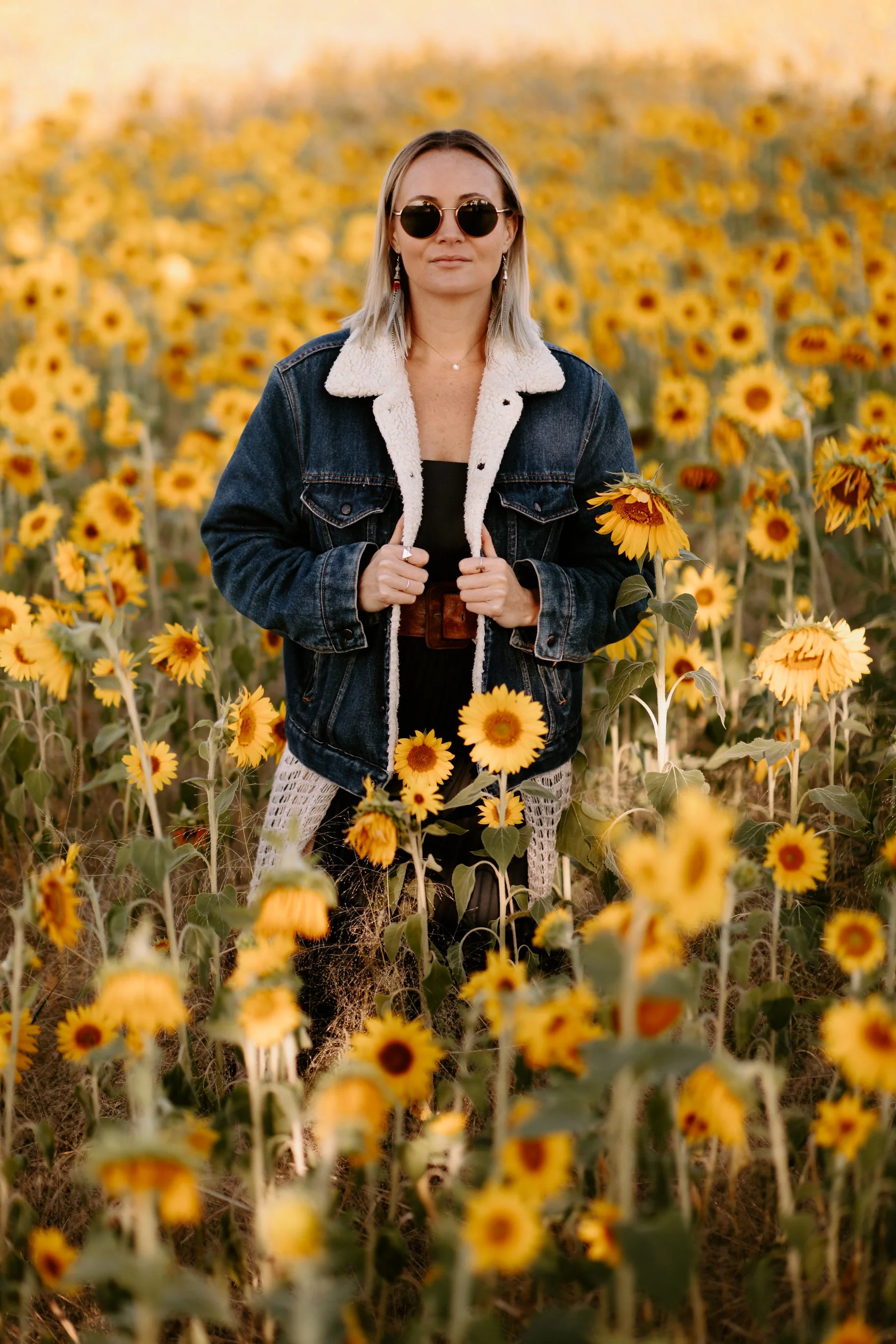 Sunflowers Cat Dossett I Take Photos-101.jpg