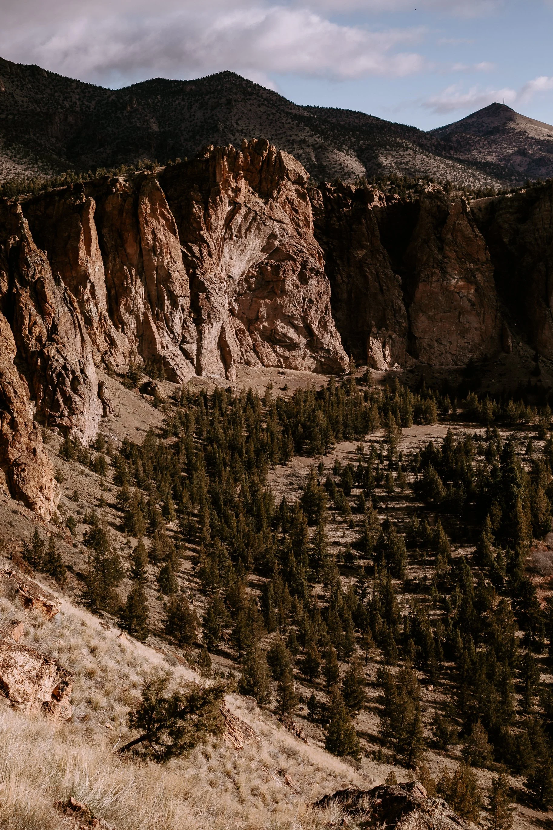 Mckenna+Aaron Smith Rock Elopement Cat Dossett I Take Photos-435.jpg