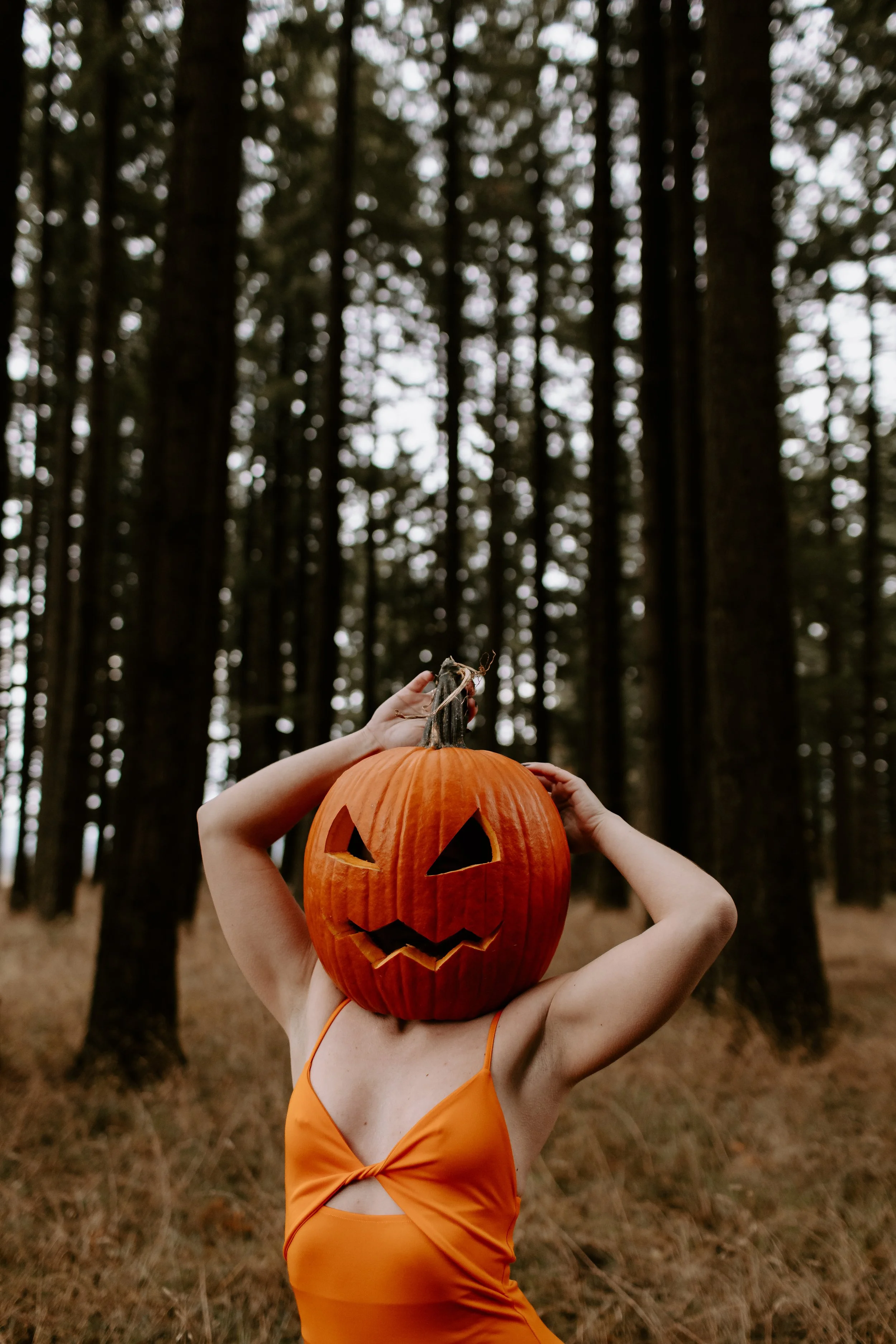 Coco Pumpkin Cat Dossett I Take Photos-16.jpg