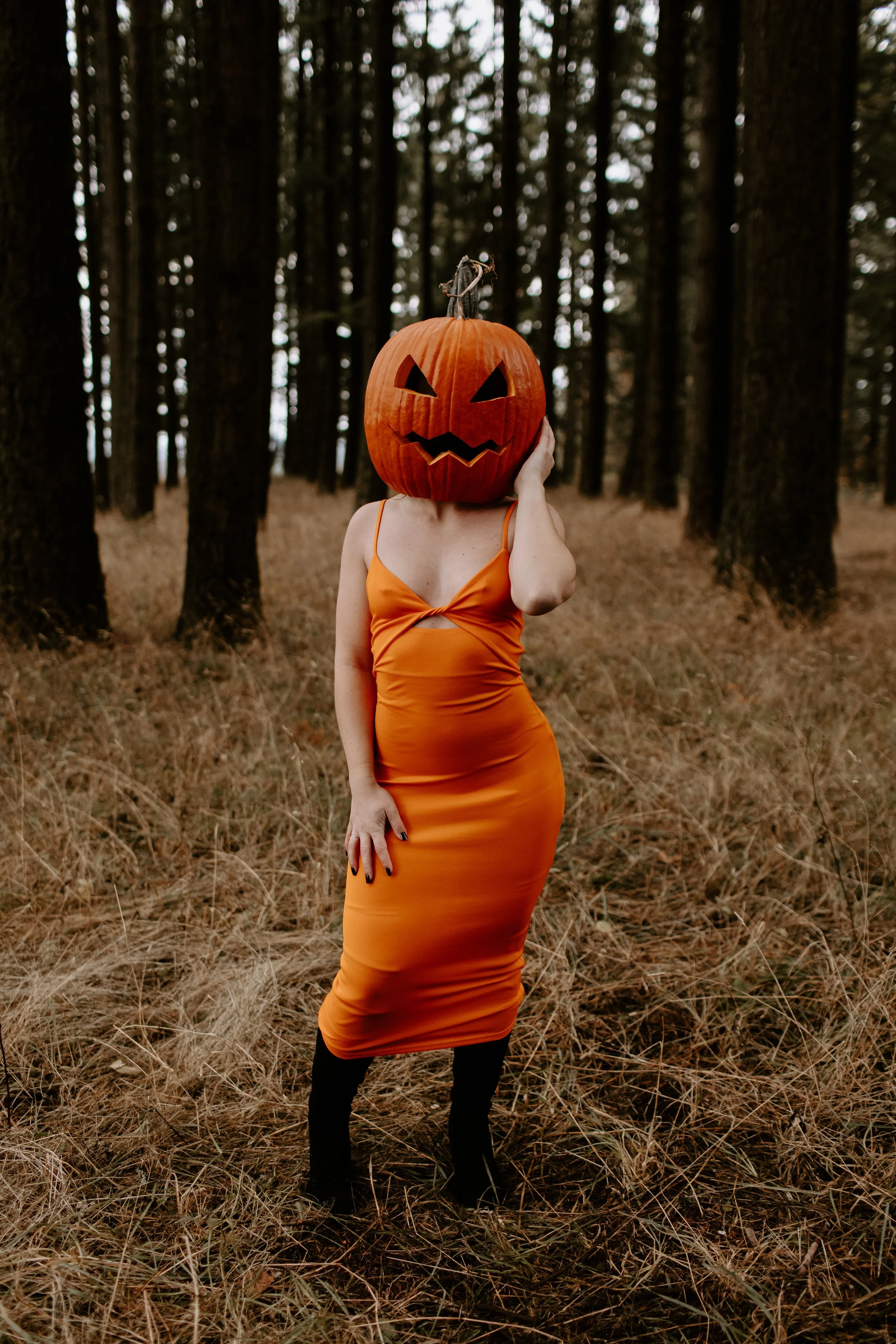 Coco Pumpkin Cat Dossett I Take Photos-15.jpg