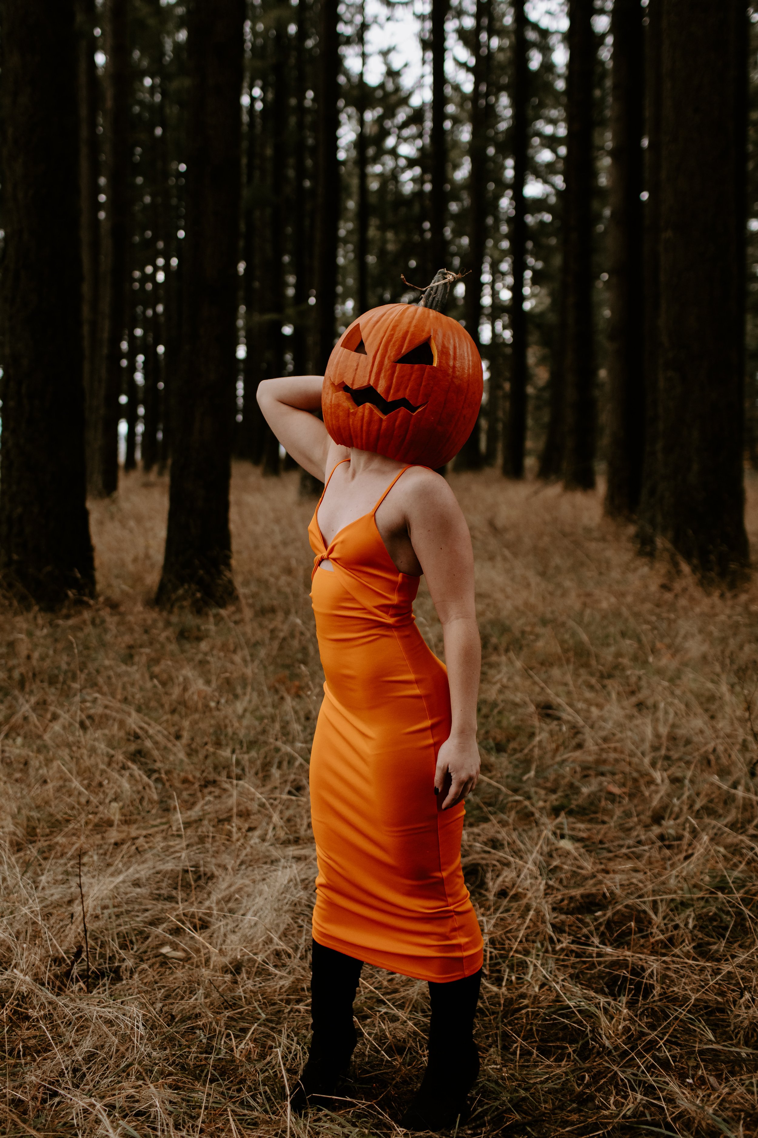 Coco Pumpkin Cat Dossett I Take Photos-18.jpg