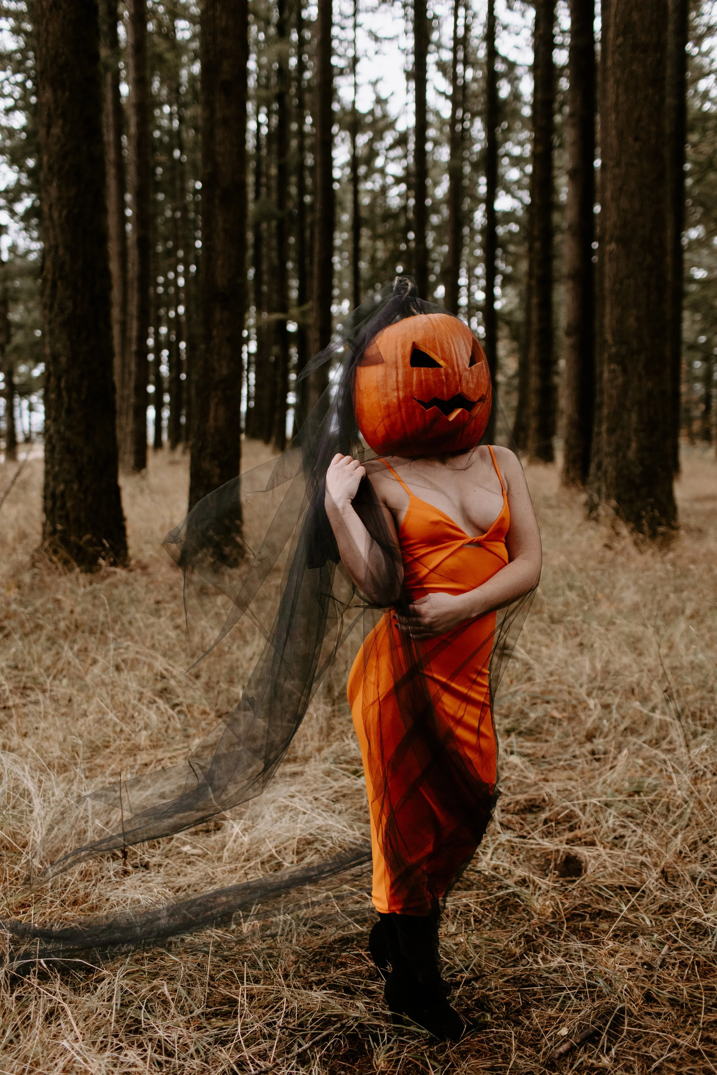 Coco Pumpkin Cat Dossett I Take Photos-19.jpg