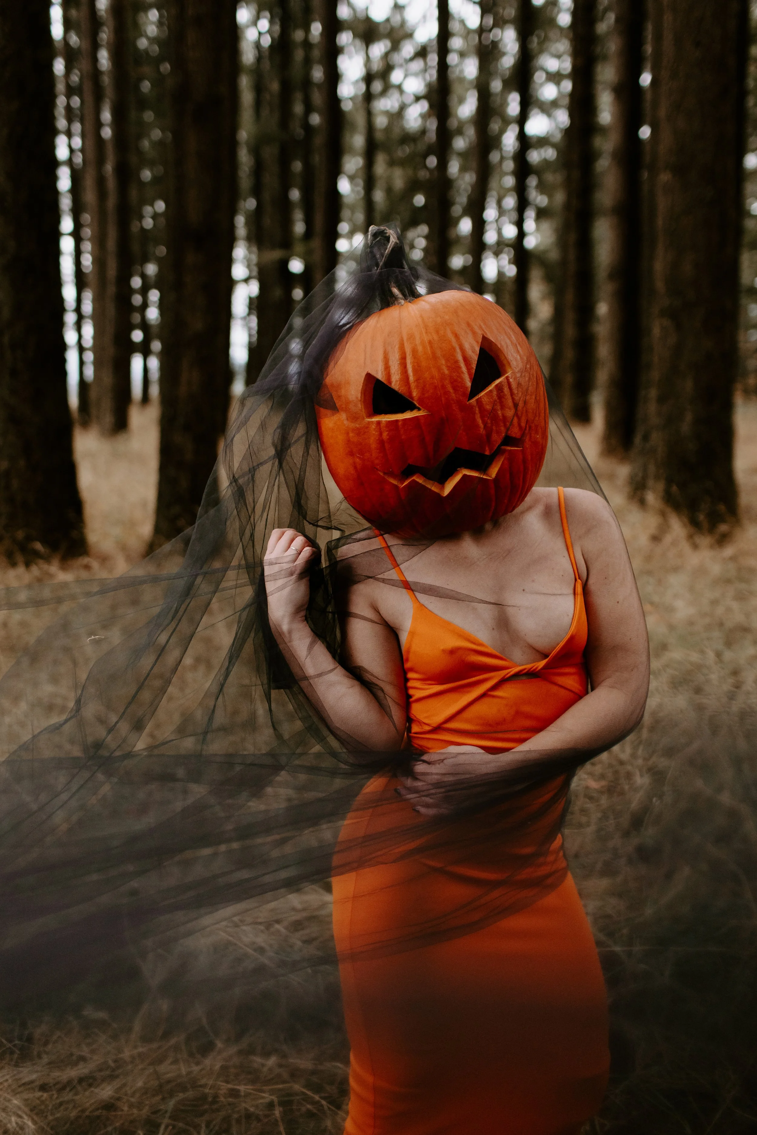 Coco Pumpkin Cat Dossett I Take Photos-20.jpg