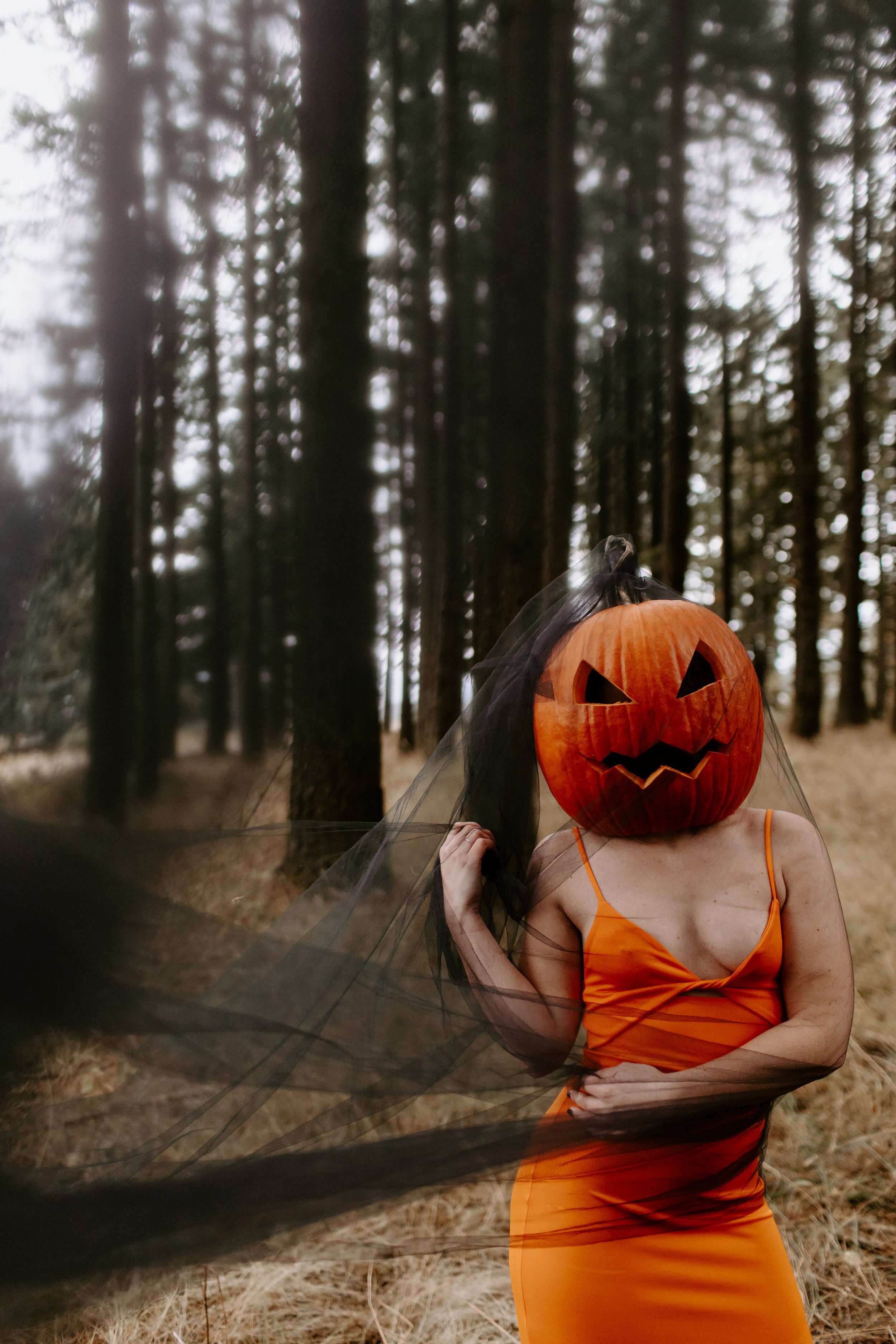 Coco Pumpkin Cat Dossett I Take Photos-21.jpg