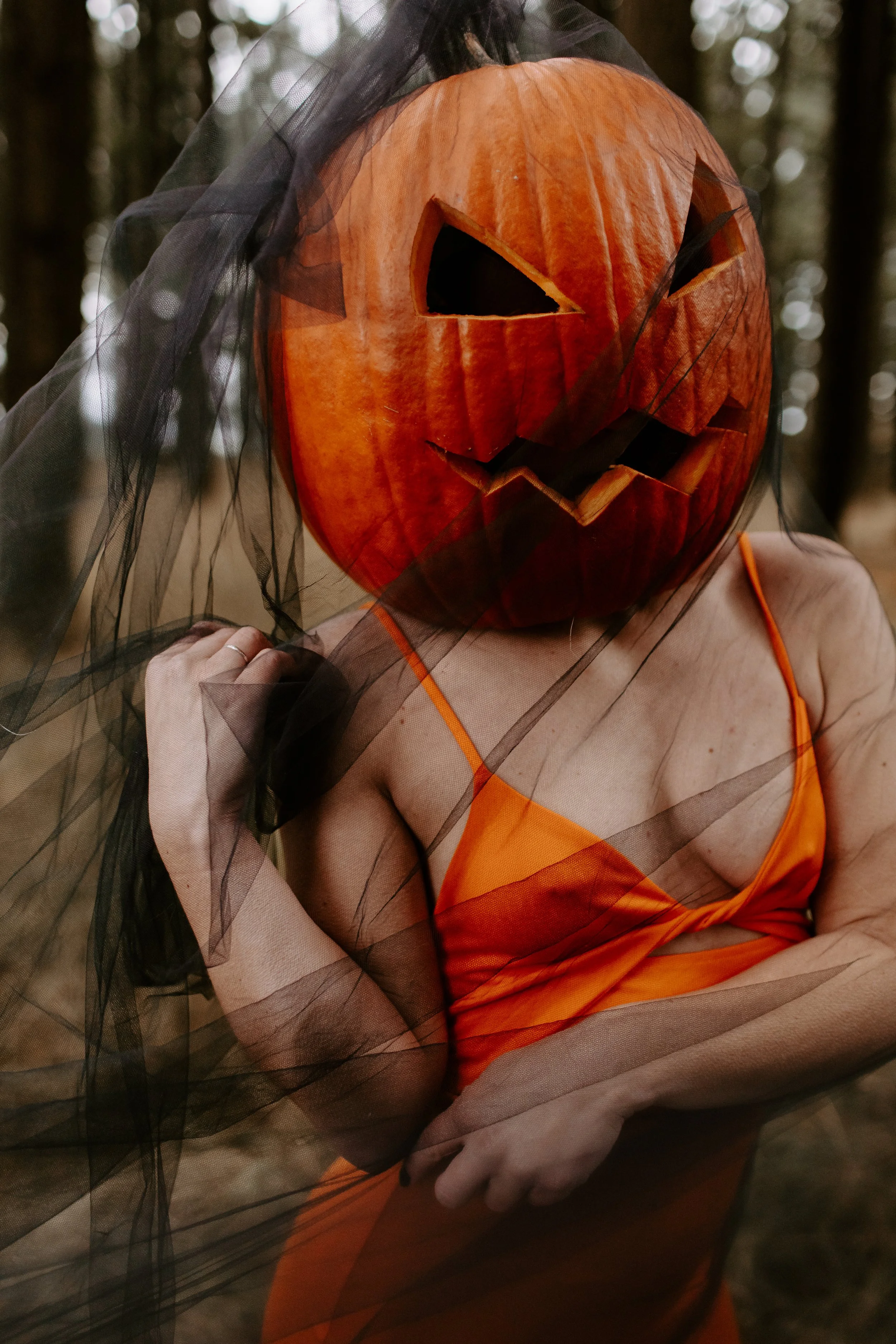Coco Pumpkin Cat Dossett I Take Photos-23.jpg