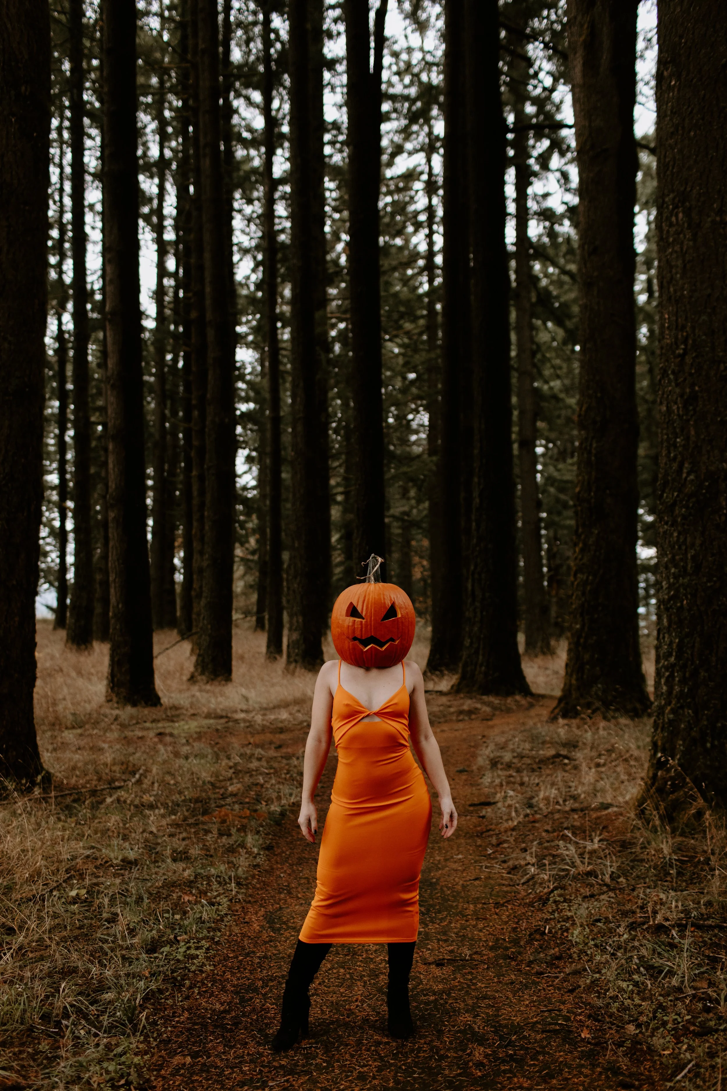 Coco Pumpkin Cat Dossett I Take Photos-26.jpg