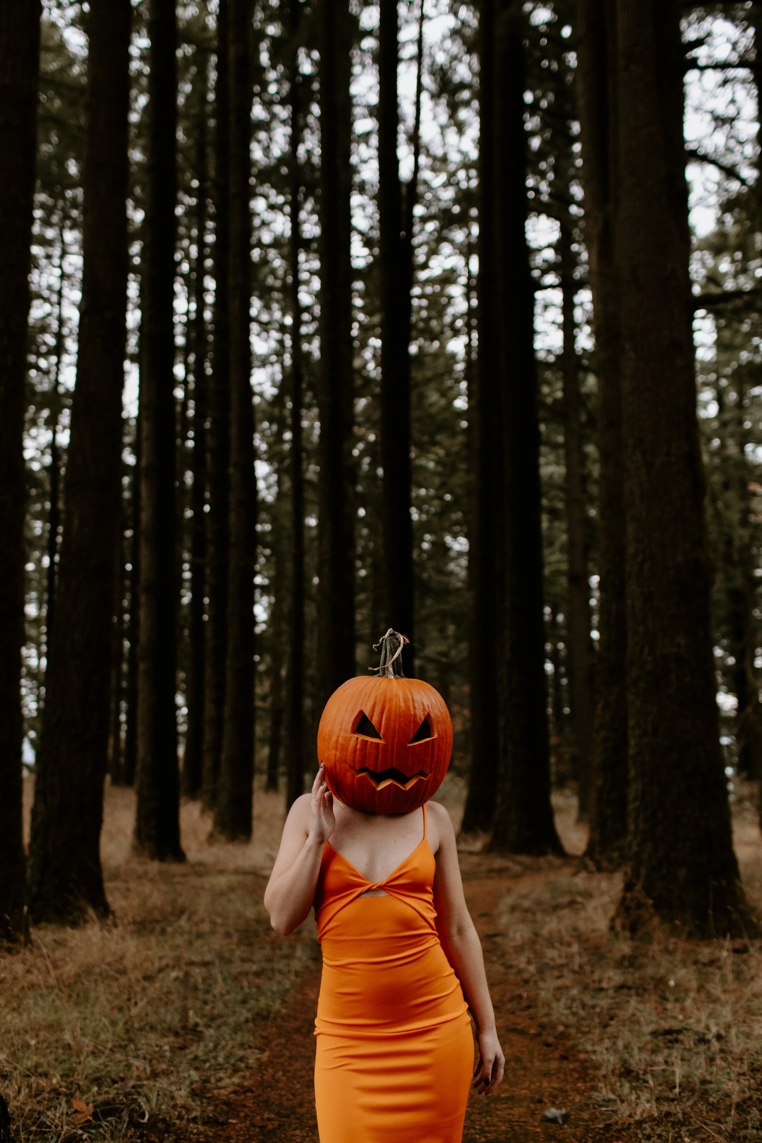 Coco Pumpkin Cat Dossett I Take Photos-30.jpg