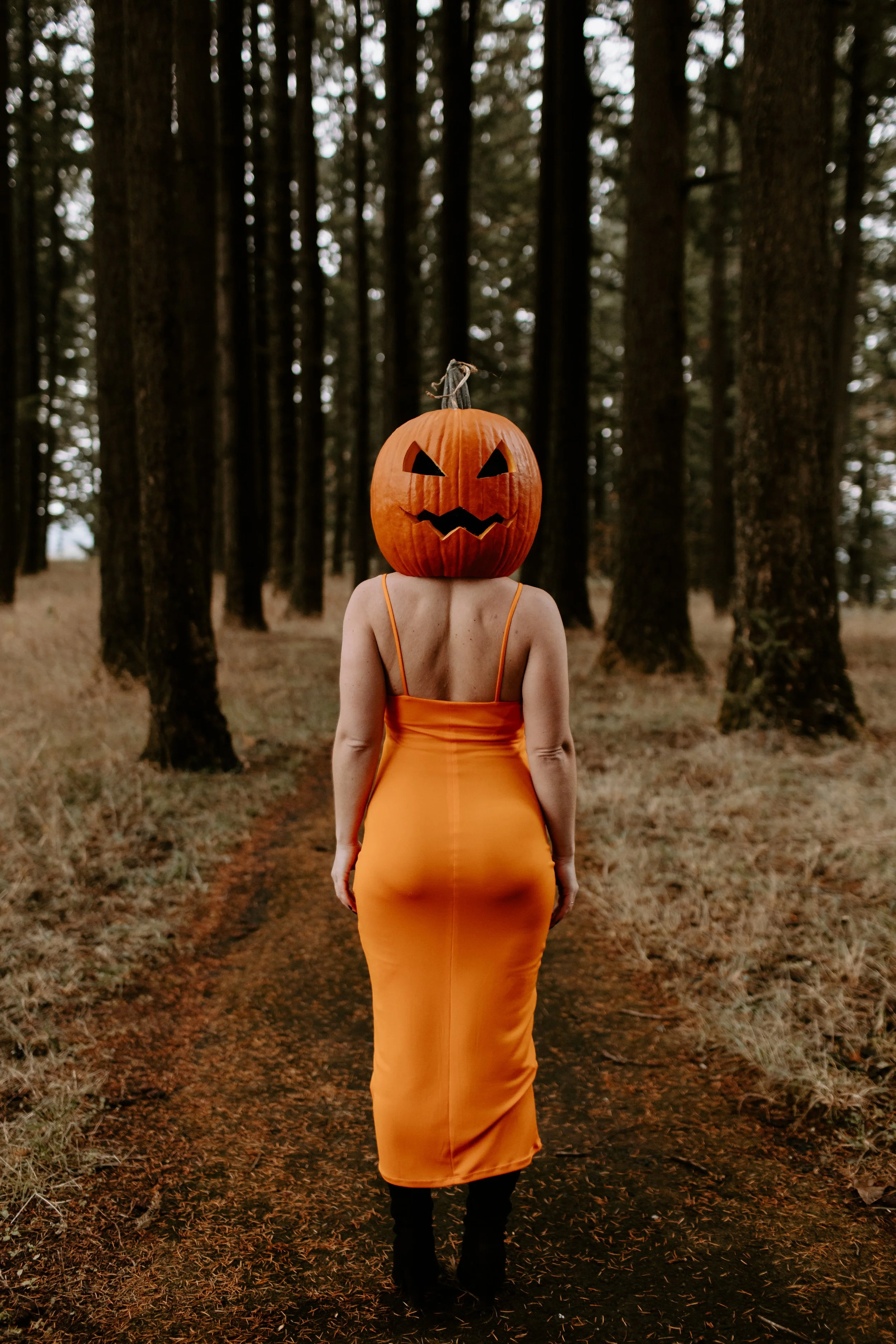 Coco Pumpkin Cat Dossett I Take Photos-31.jpg