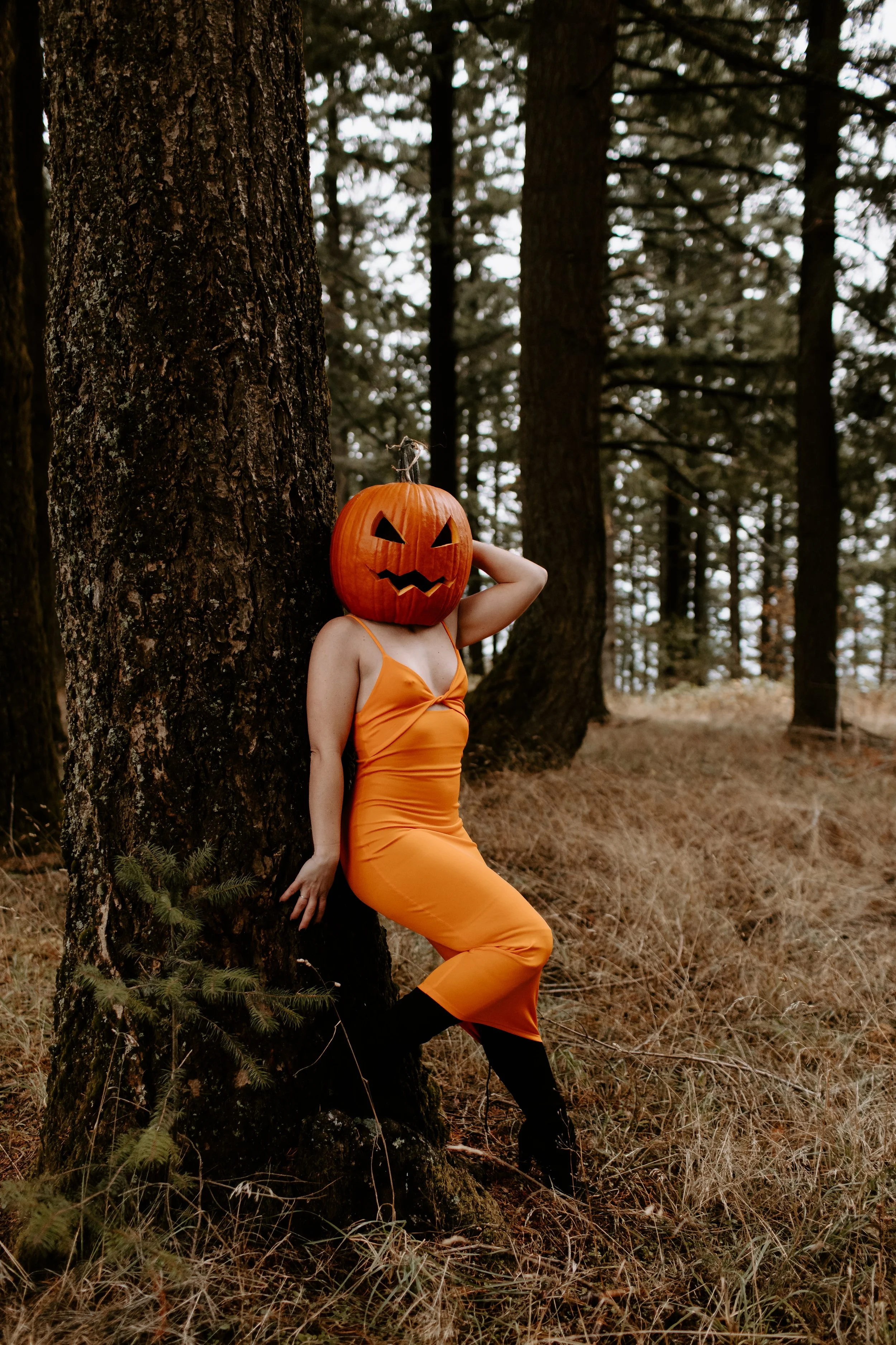 Coco Pumpkin Cat Dossett I Take Photos-33.jpg