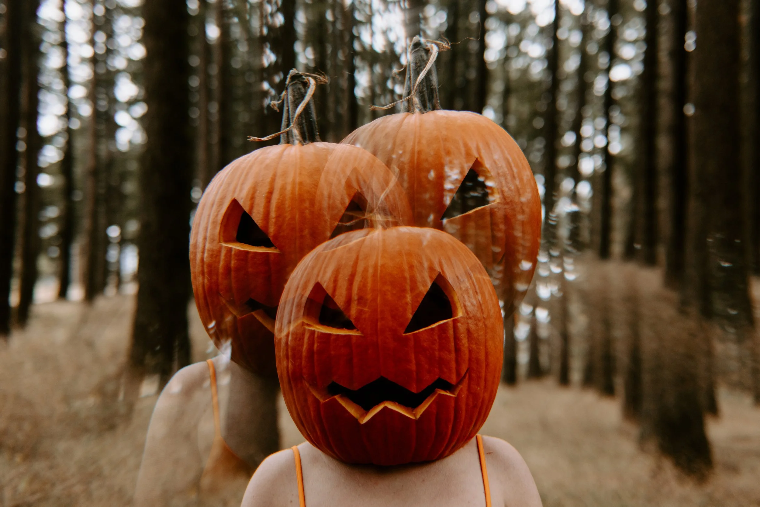 Coco Pumpkin Cat Dossett I Take Photos-37.jpg