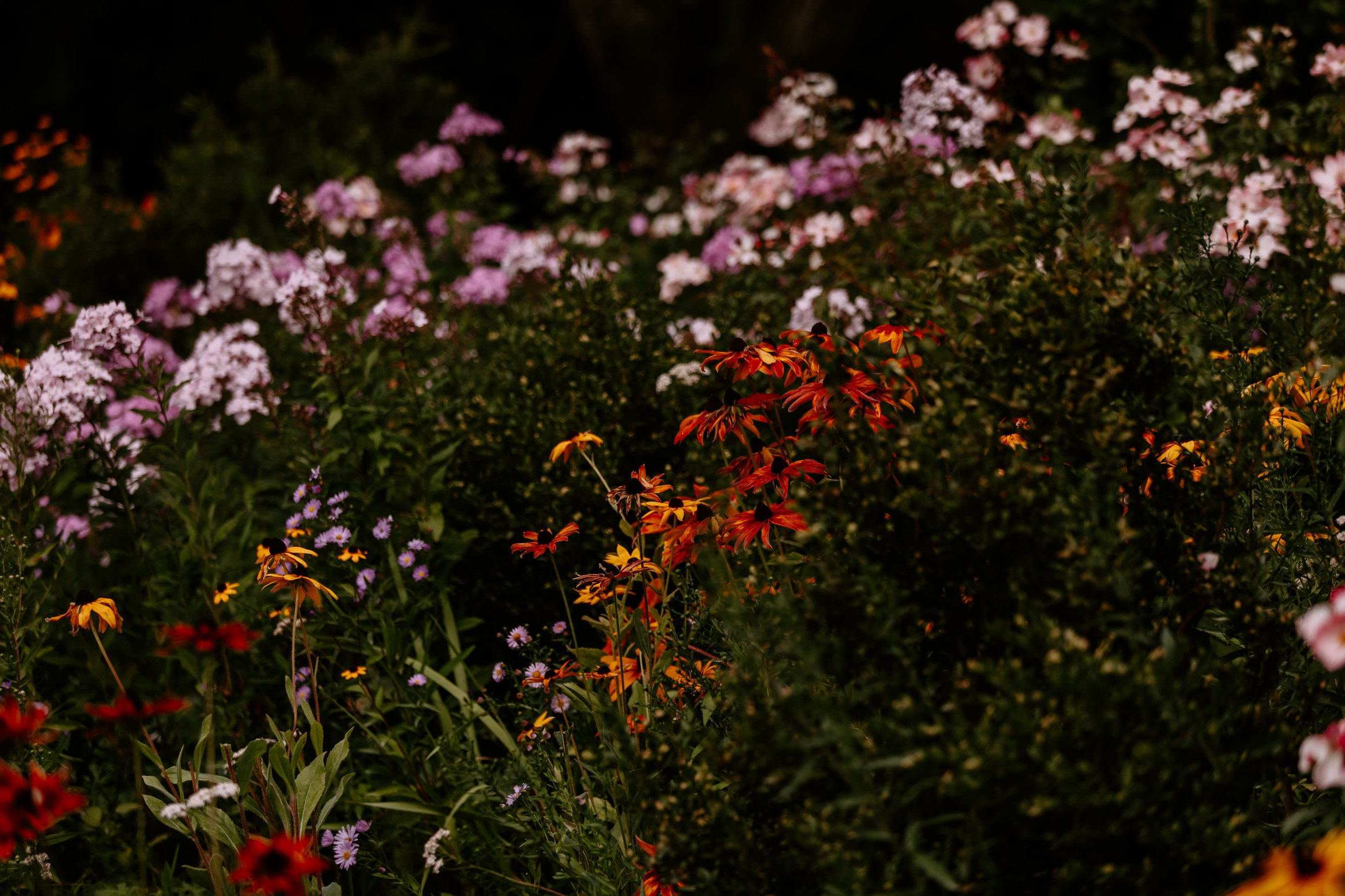 Jander Wedding 01 Details Cat Dossett I Take Photos-10.jpg