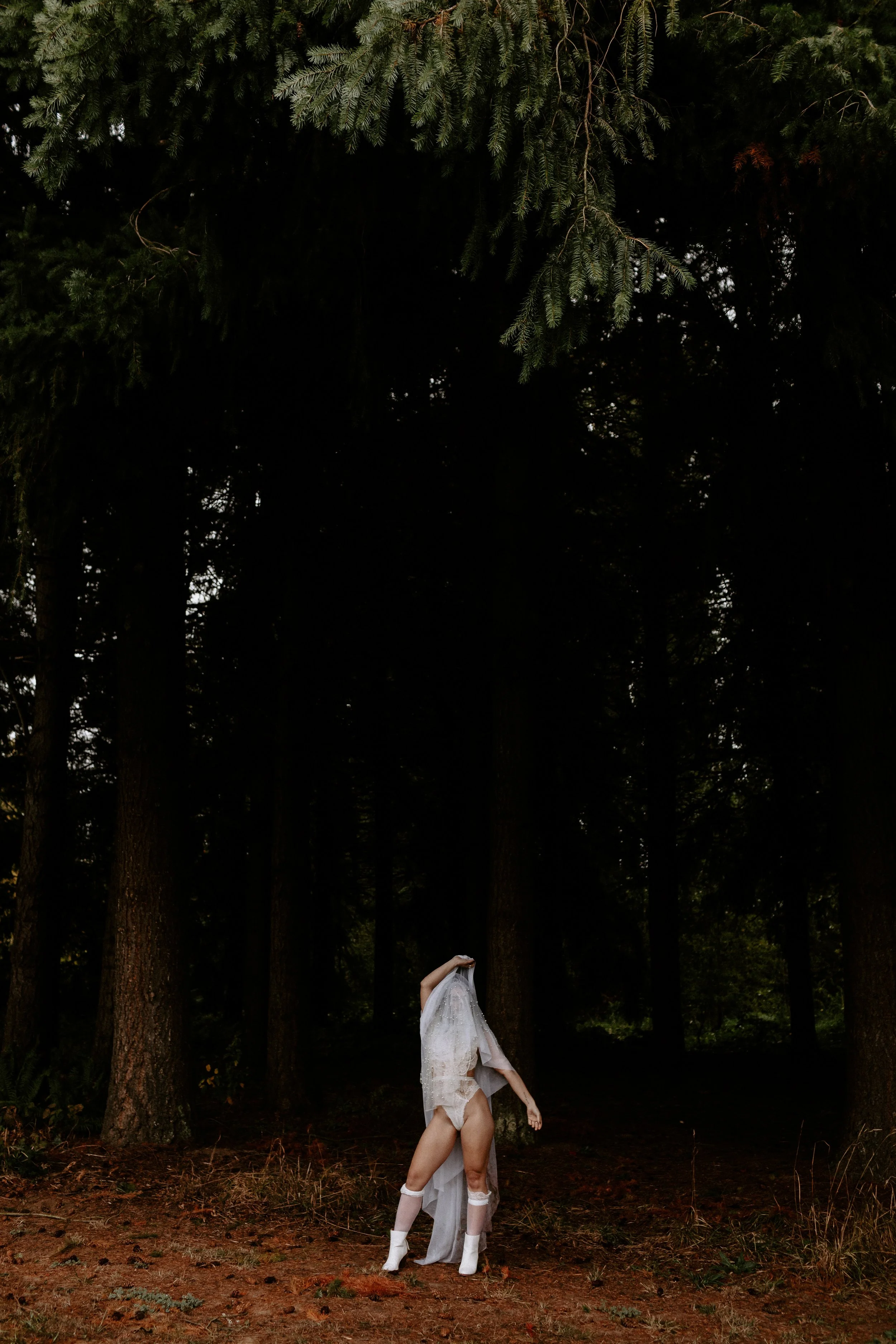 Widow Ghost Cat Dossett I Take Photos-53.jpg
