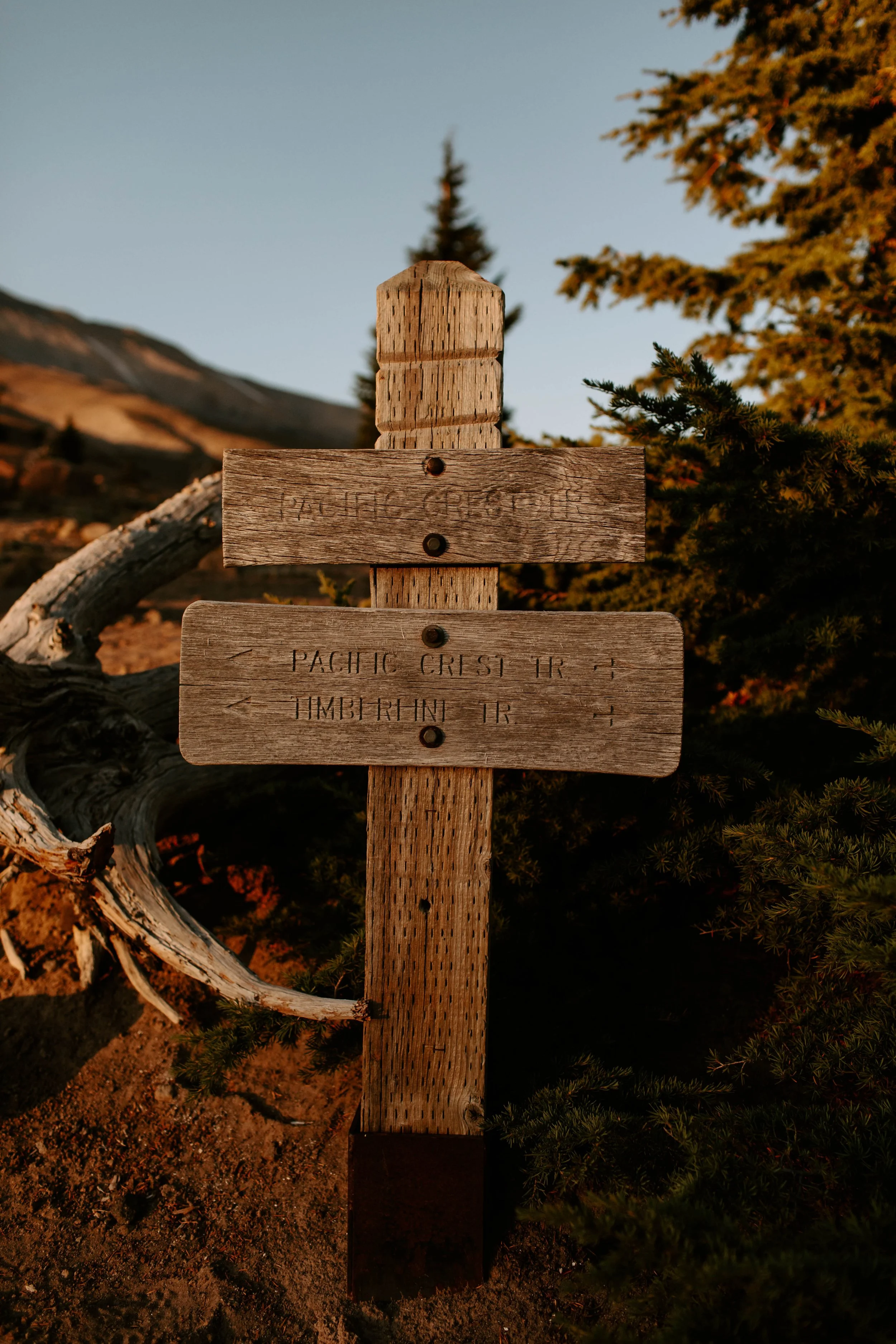Katherine+Phil Mt Hood Cat Dossett I Take Photos-30.jpg