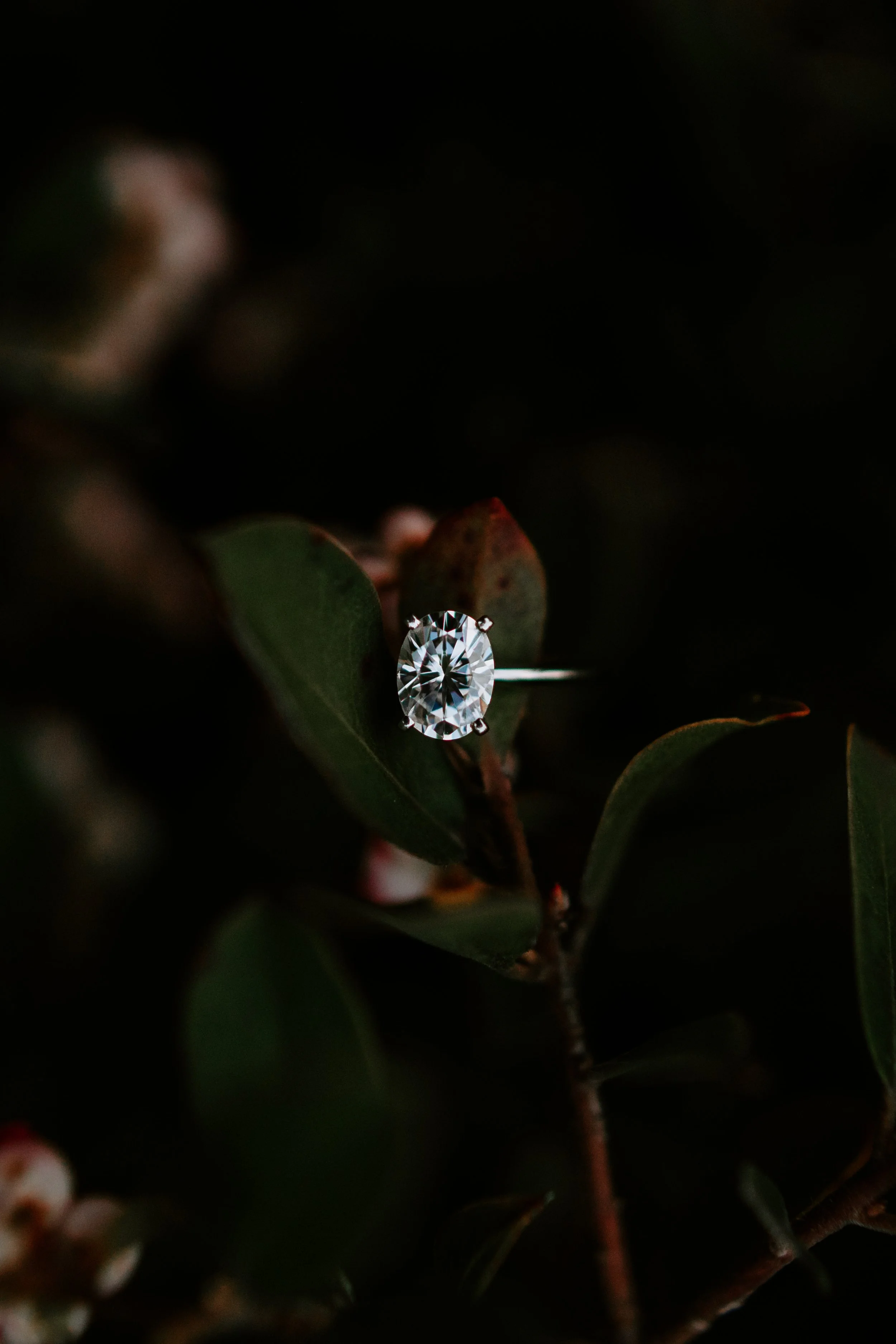 Tiffany+Ryan Engaged Cat Dossett I Take Photos-235.jpg