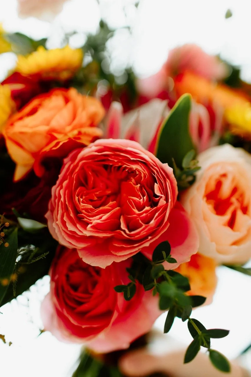 JanWW 01 Details Cat Dossett I Take Photos-25 Large.jpeg