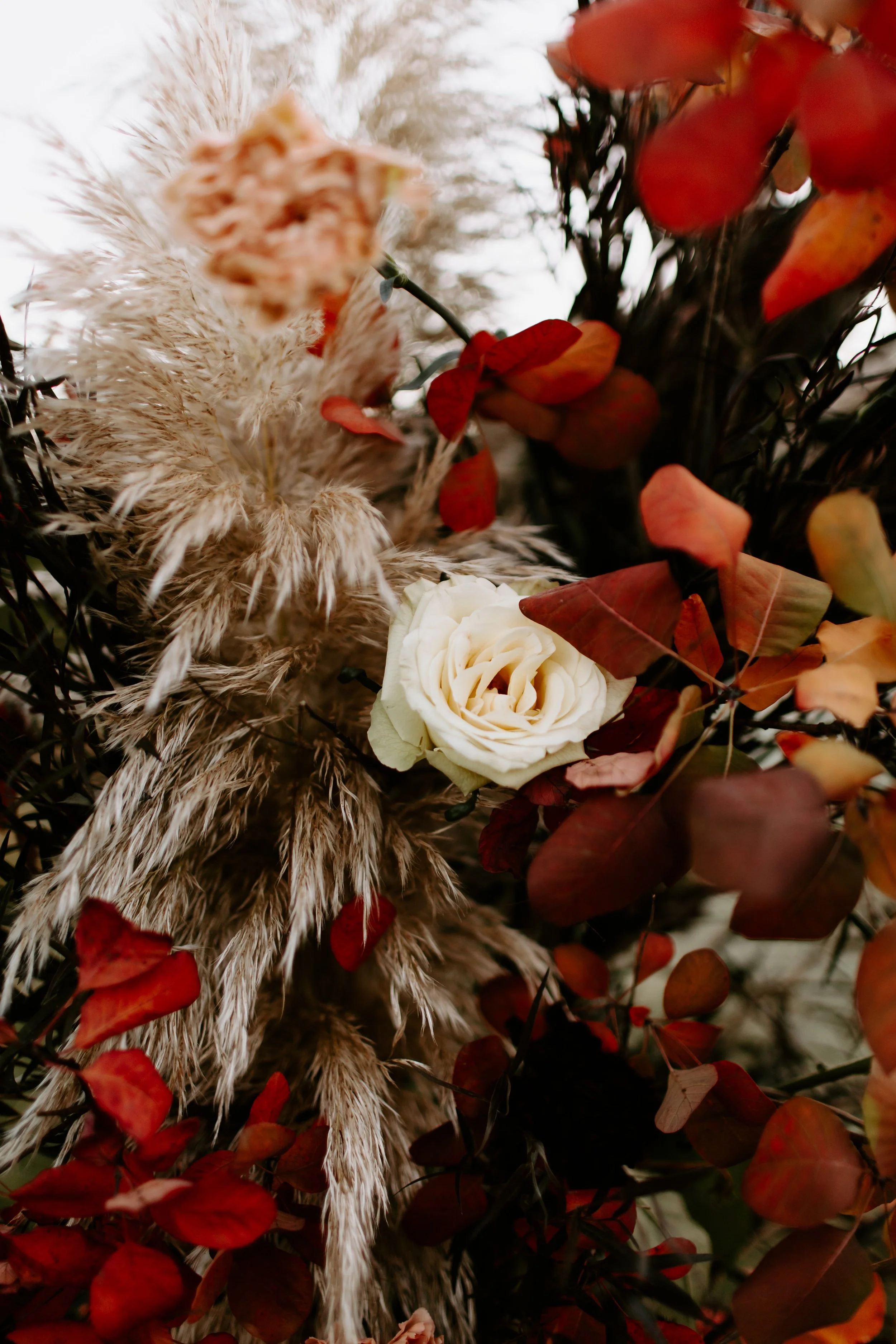 Details WW Cat Dossett I Take Photos-10.jpg