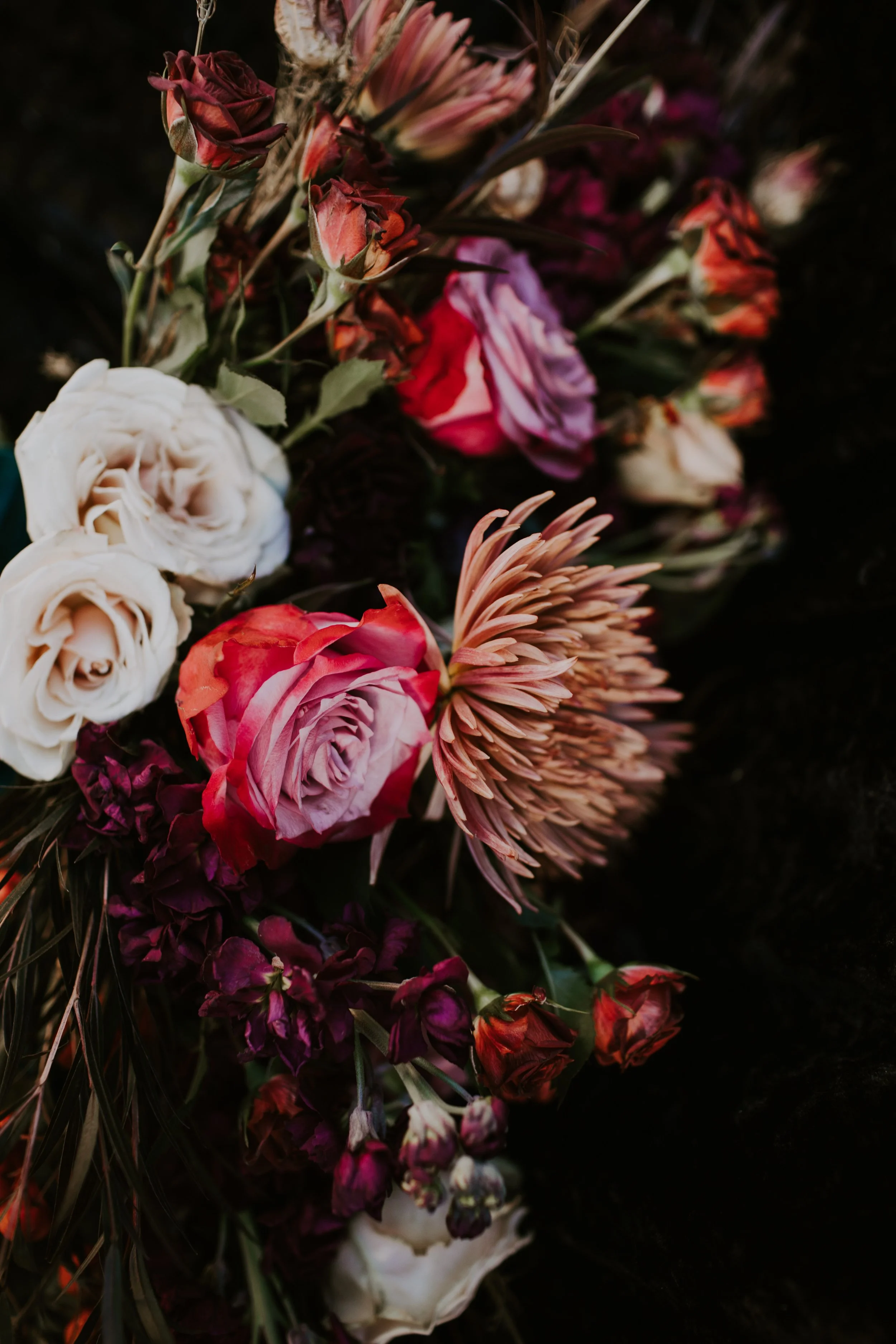 Details WW Cat Dossett I Take Photos-21.jpg