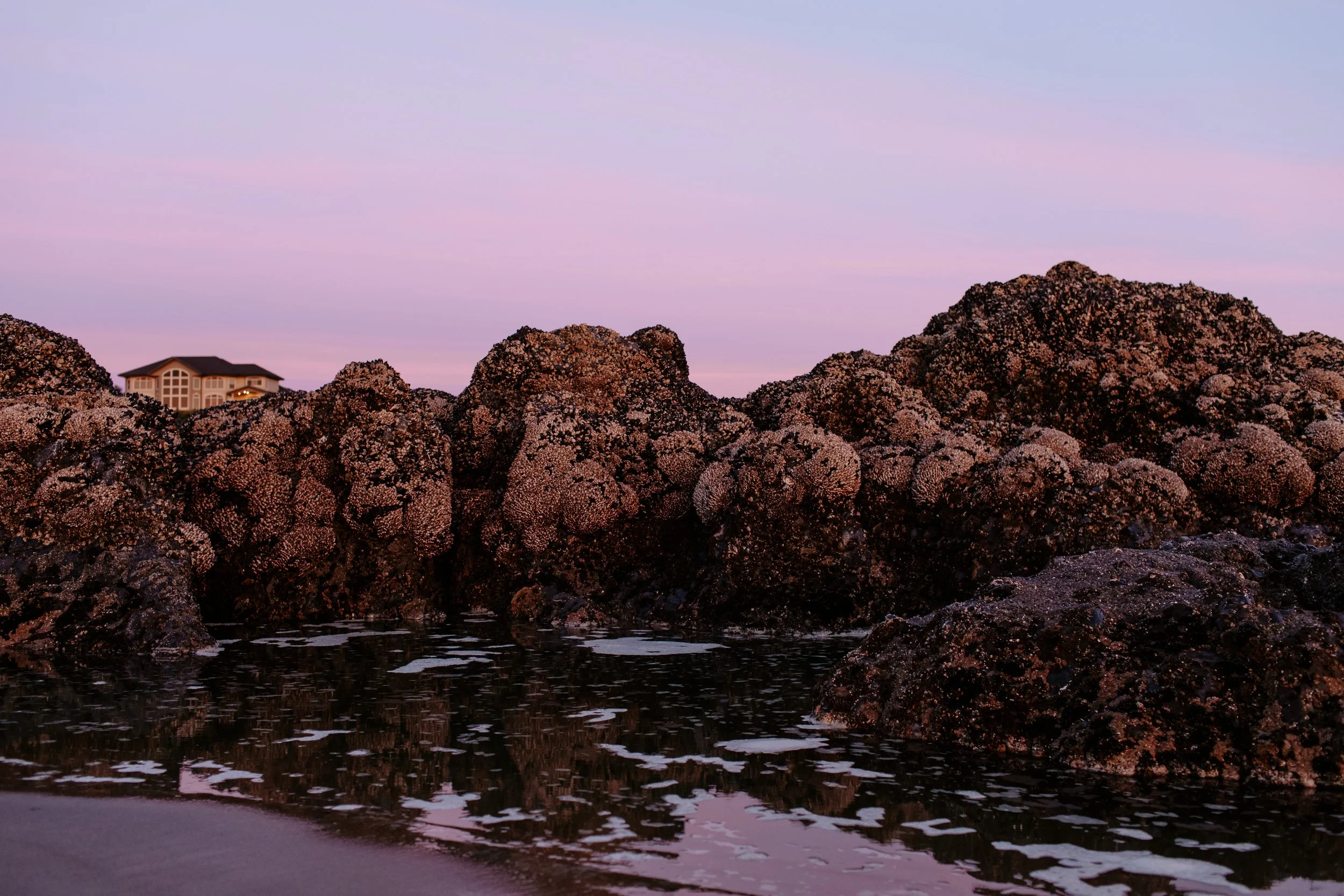 Details WW Cat Dossett I Take Photos-49.jpg