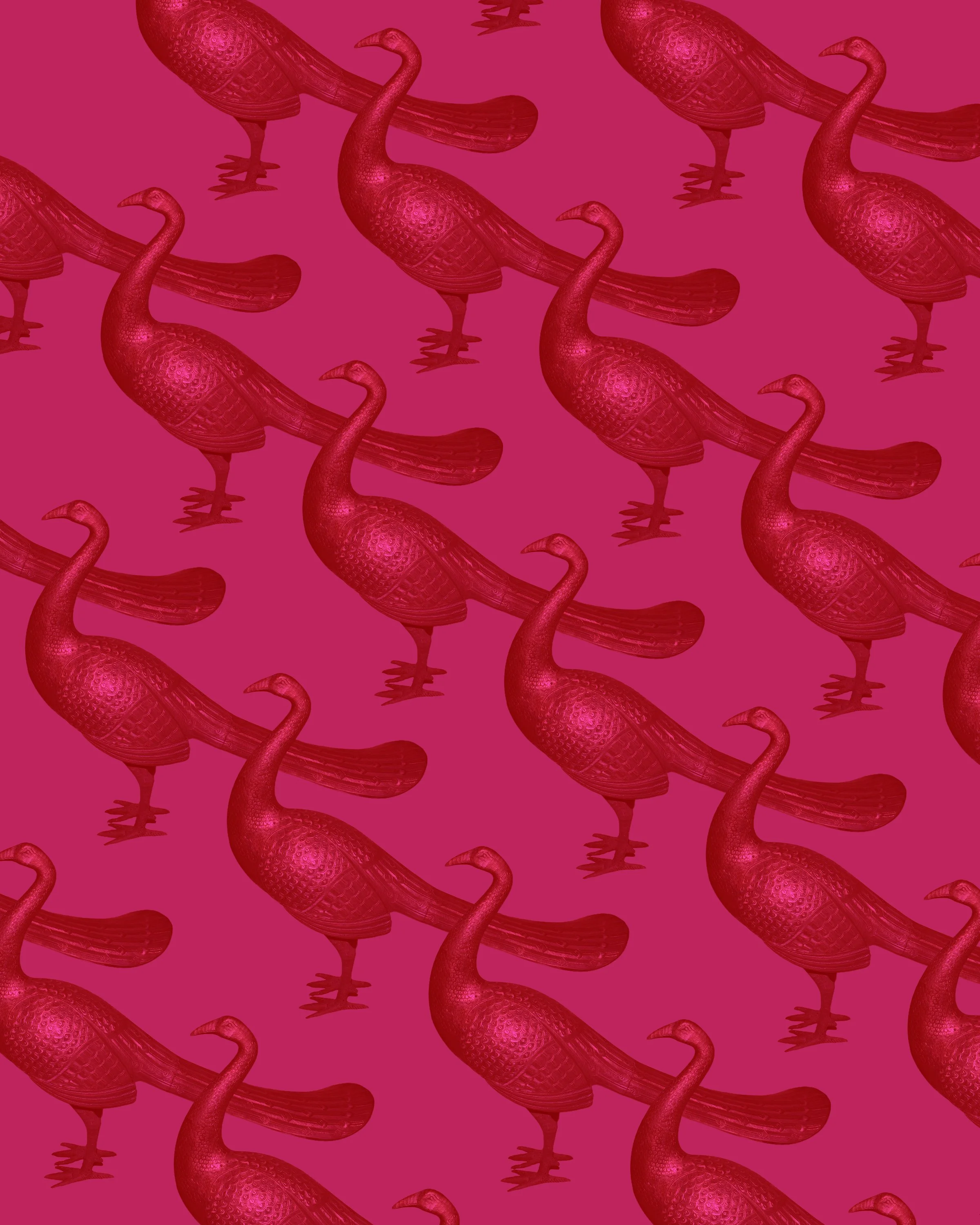 peacocks_pink.jpg