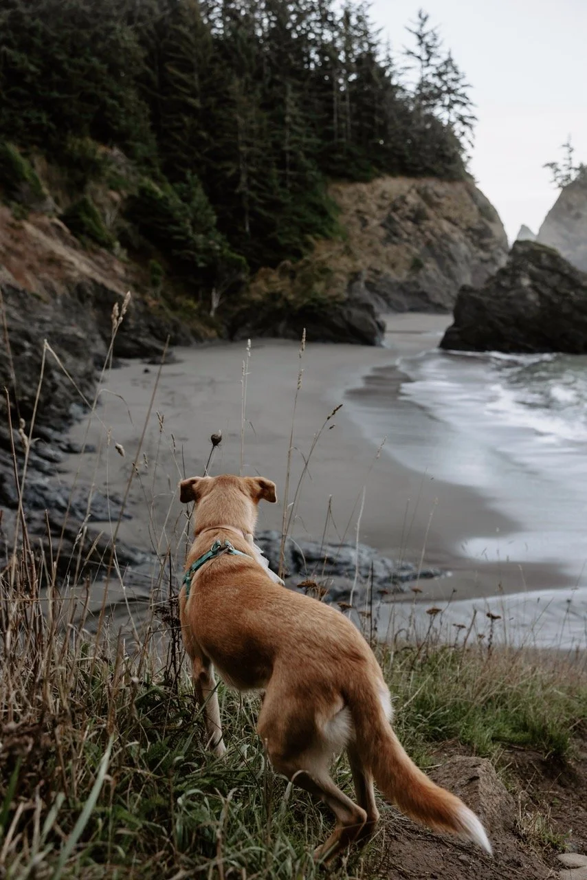 Alex Anni-2 Large.jpeg