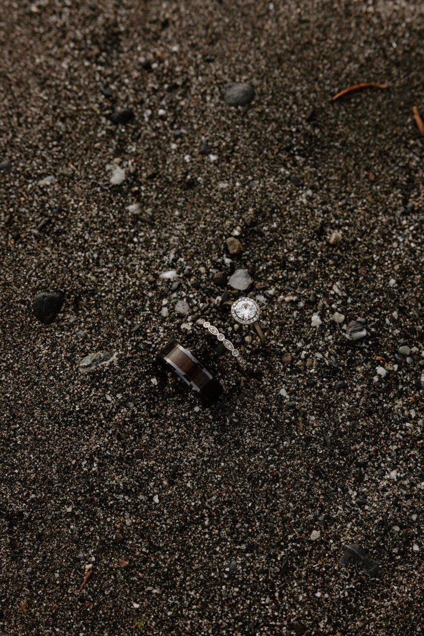 Alex Anni-29 Large.jpeg