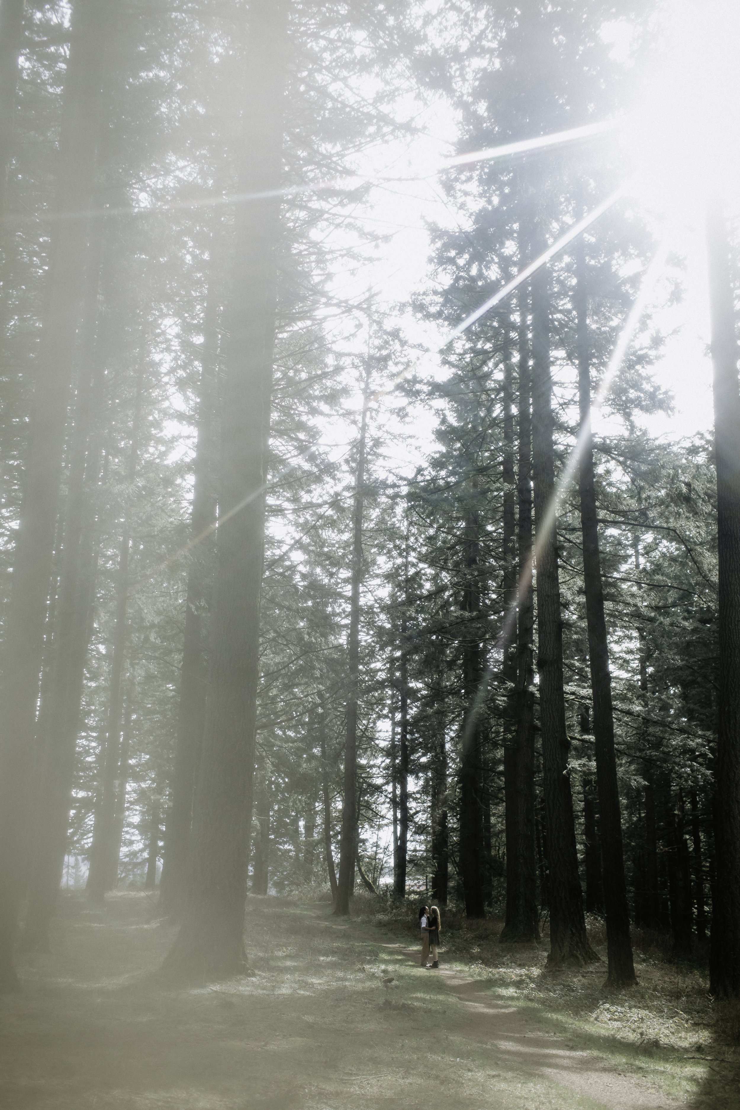 Kelly+Sammi Proposal Cat Dossett I Take Photos-46.jpg