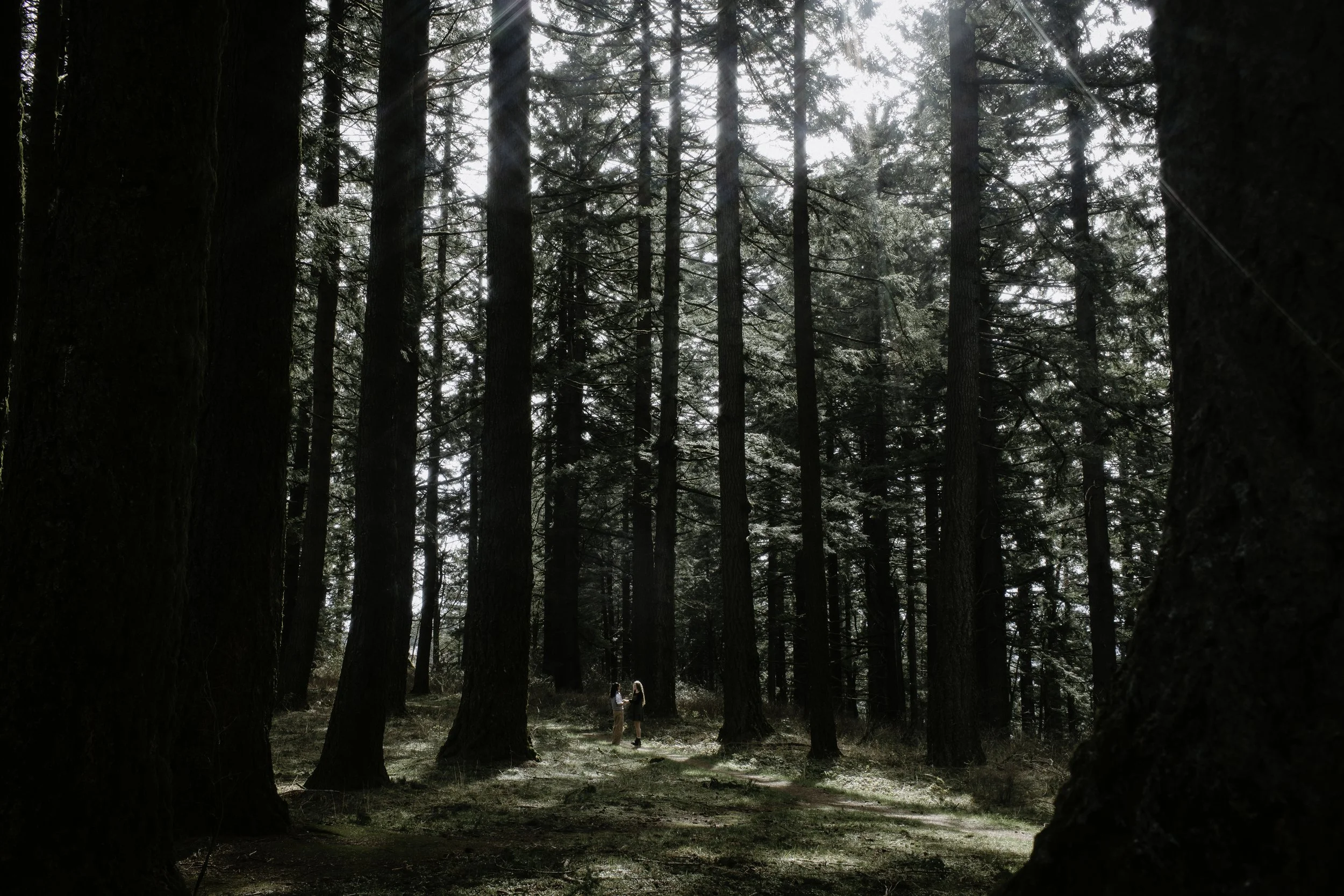 Kelly+Sammi Proposal Cat Dossett I Take Photos-47.jpg