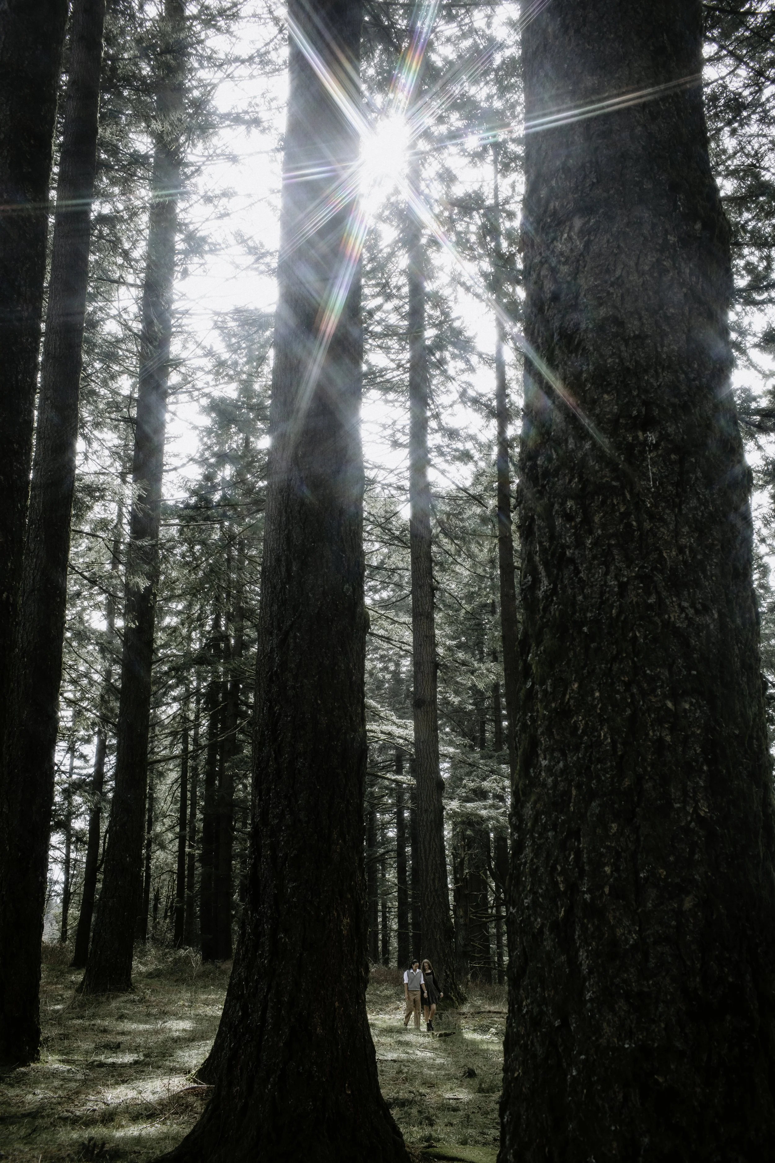 Kelly+Sammi Proposal Cat Dossett I Take Photos-48.jpg