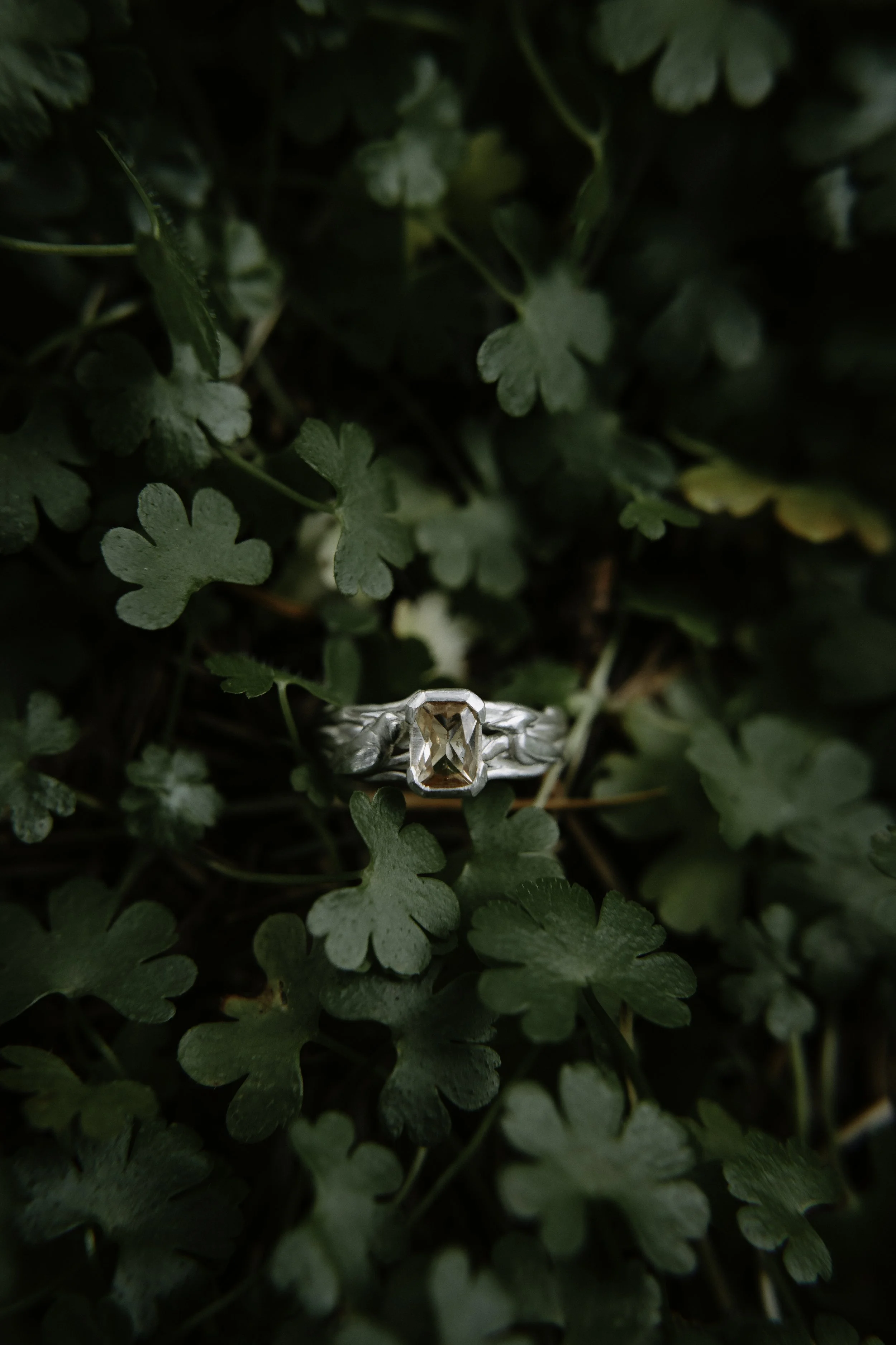 Kelly+Sammi Proposal Cat Dossett I Take Photos-53.jpg