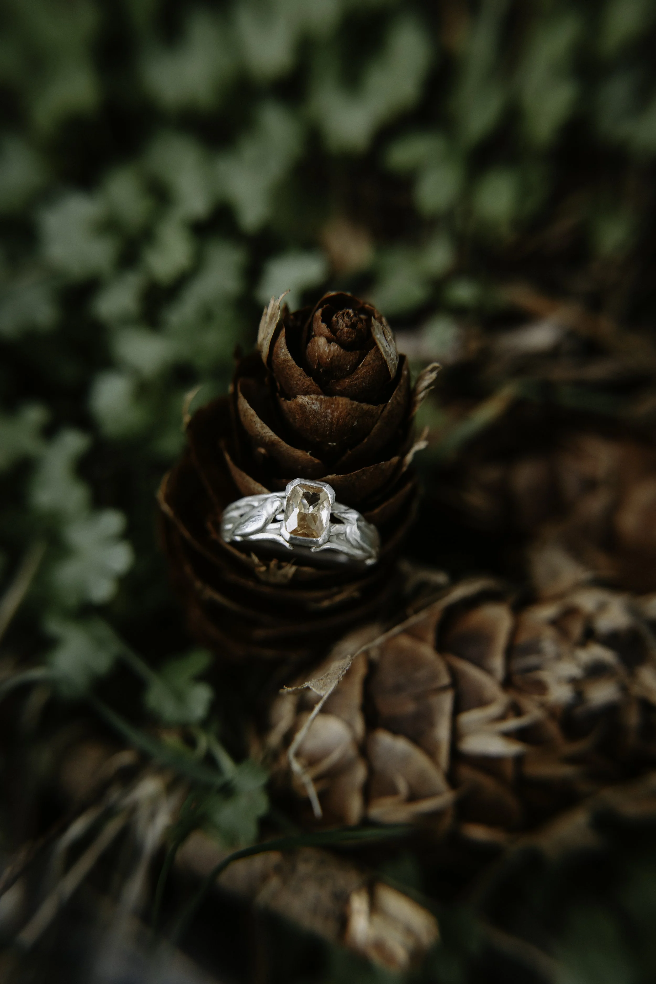 Kelly+Sammi Proposal Cat Dossett I Take Photos-54.jpg