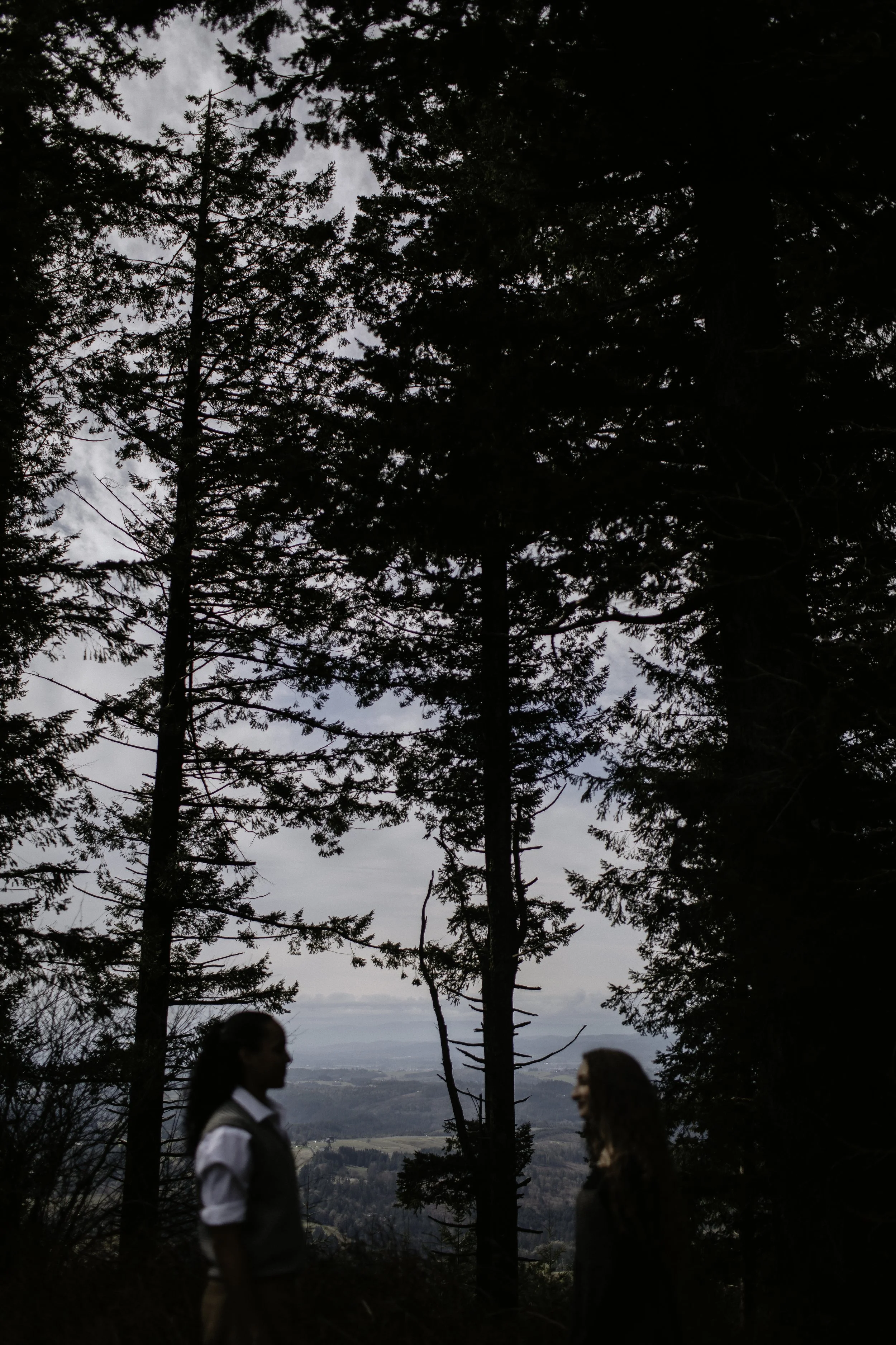 Kelly+Sammi Proposal Cat Dossett I Take Photos-59.jpg