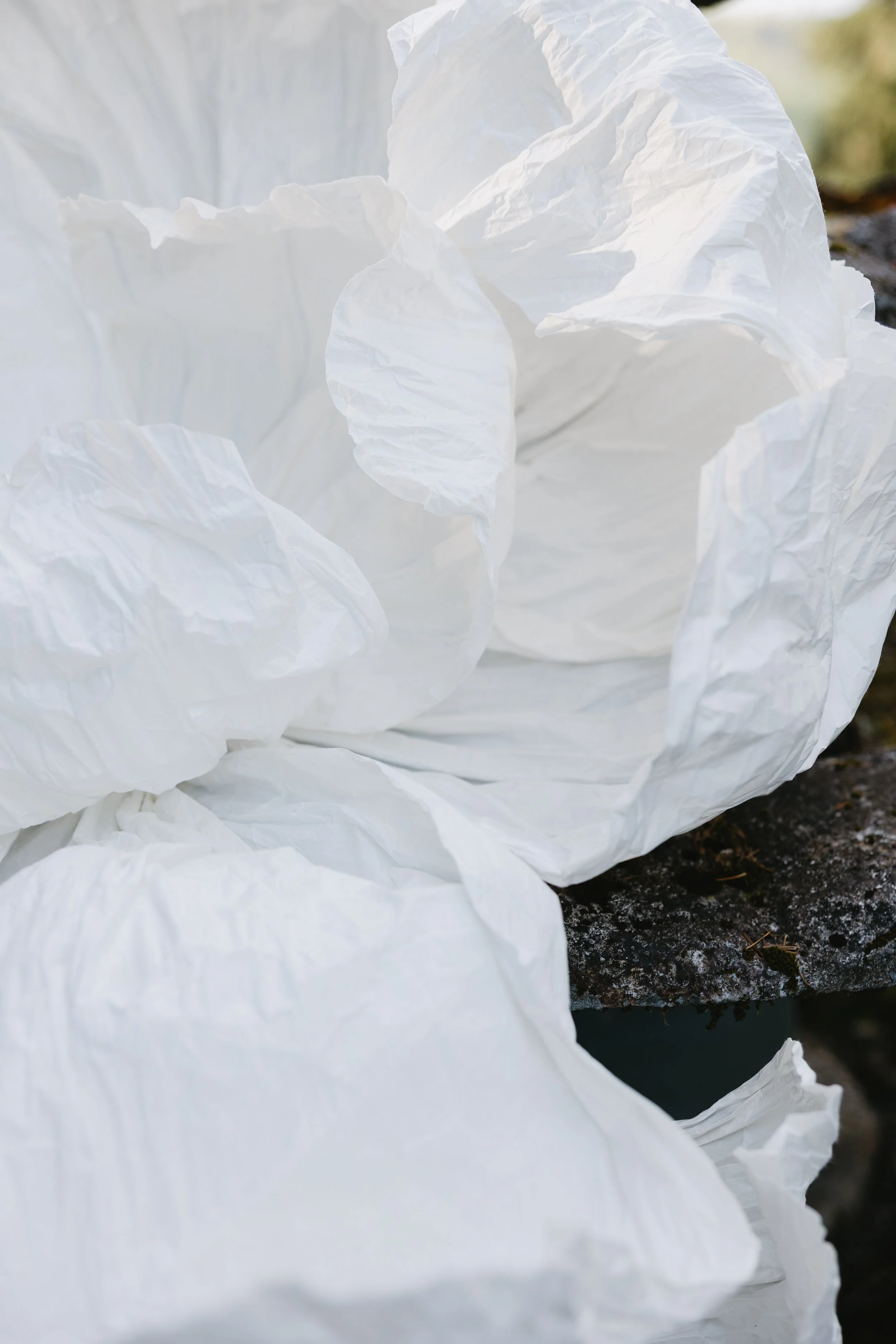 white-652.jpg