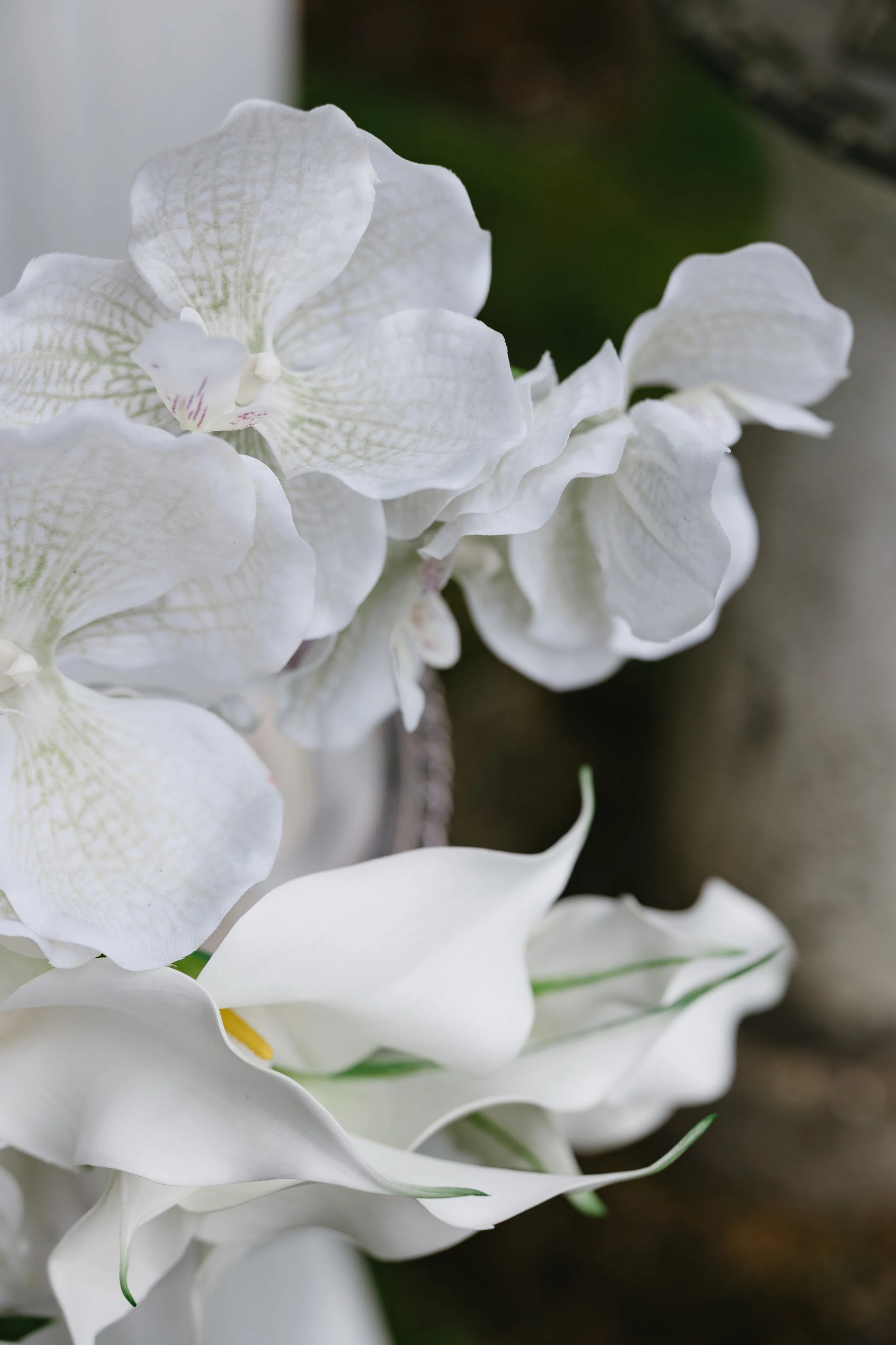 white-71.jpg