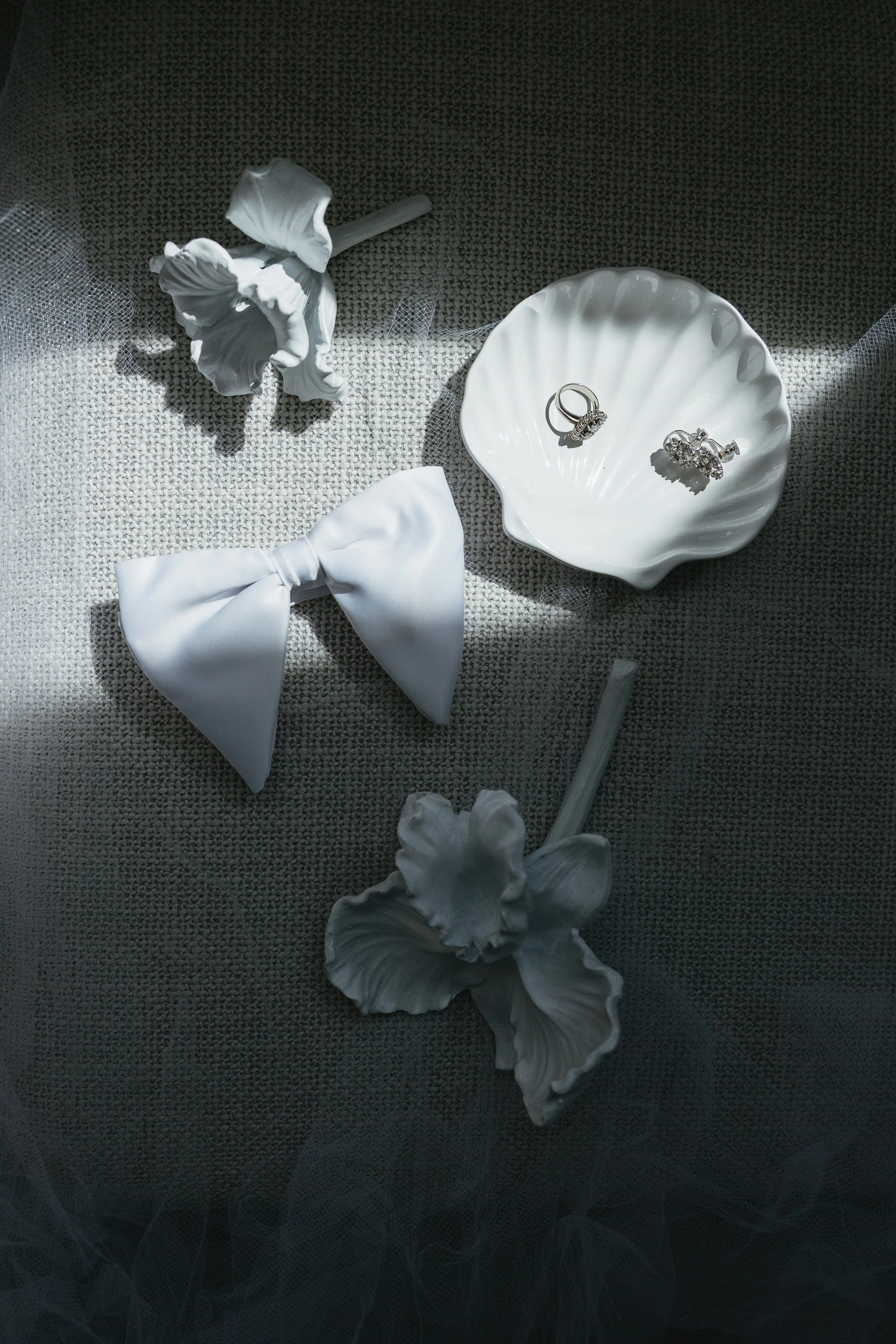 white-731.jpg