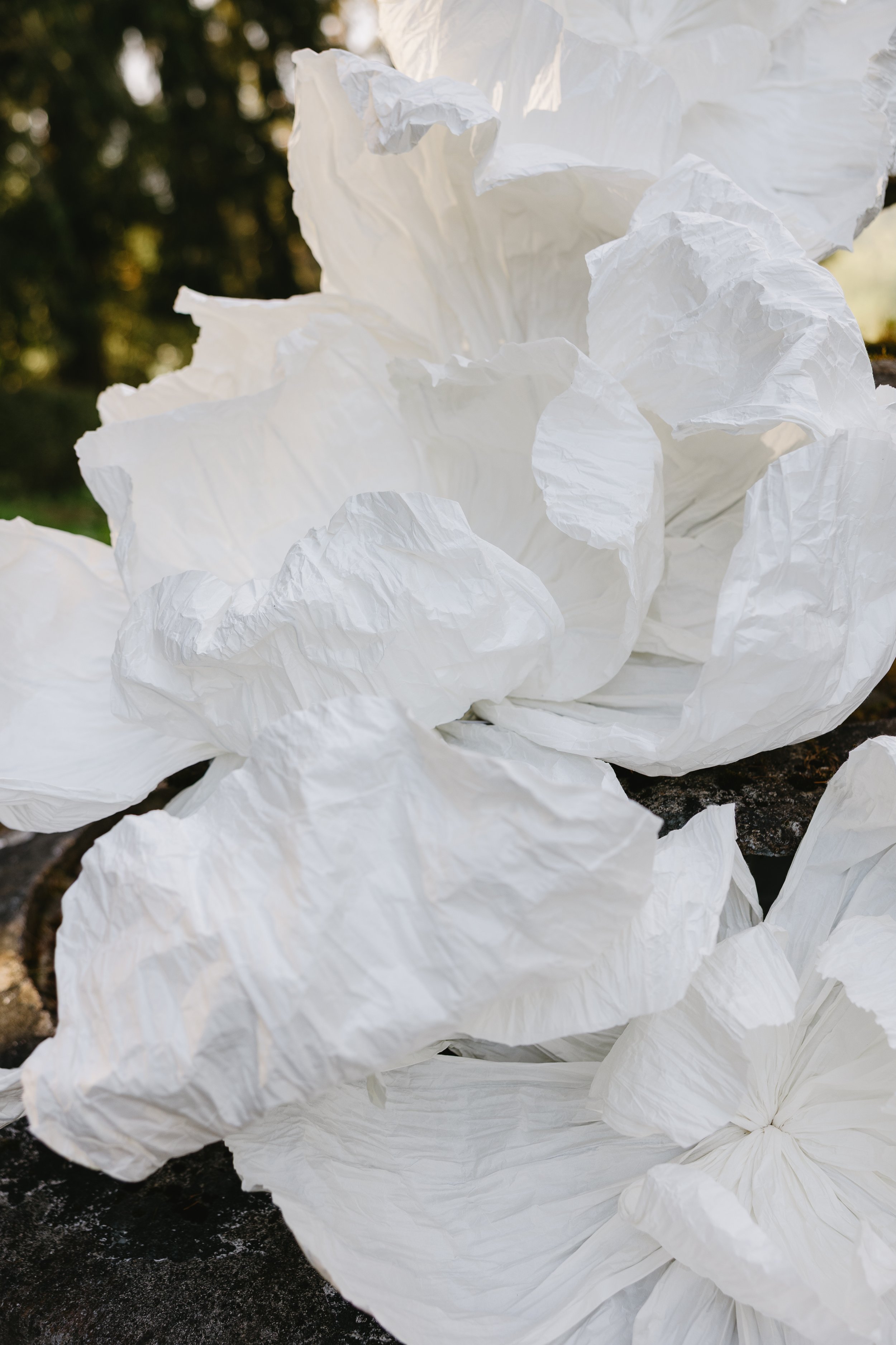 white-583.jpg