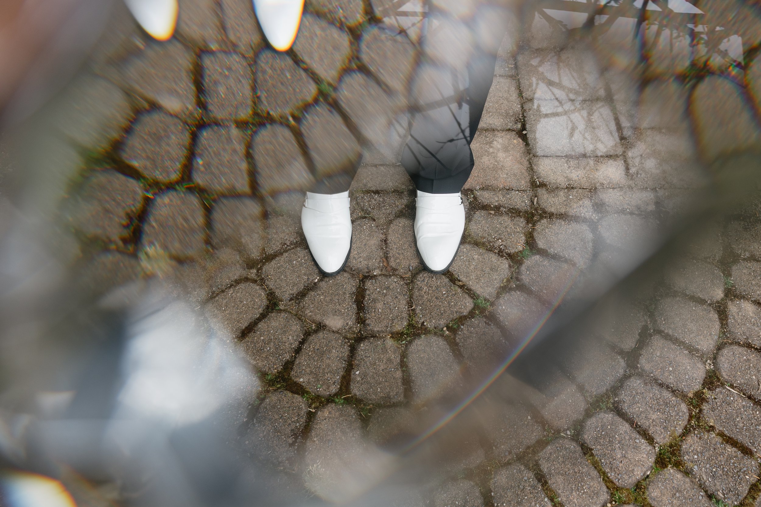white-517.jpg