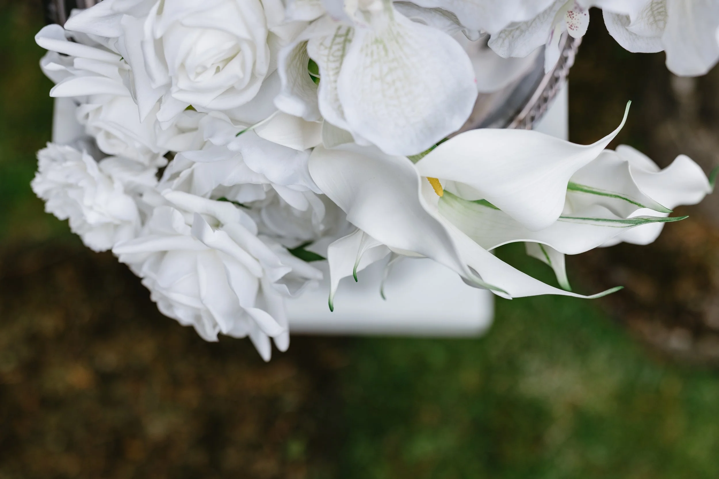 white-72.jpg