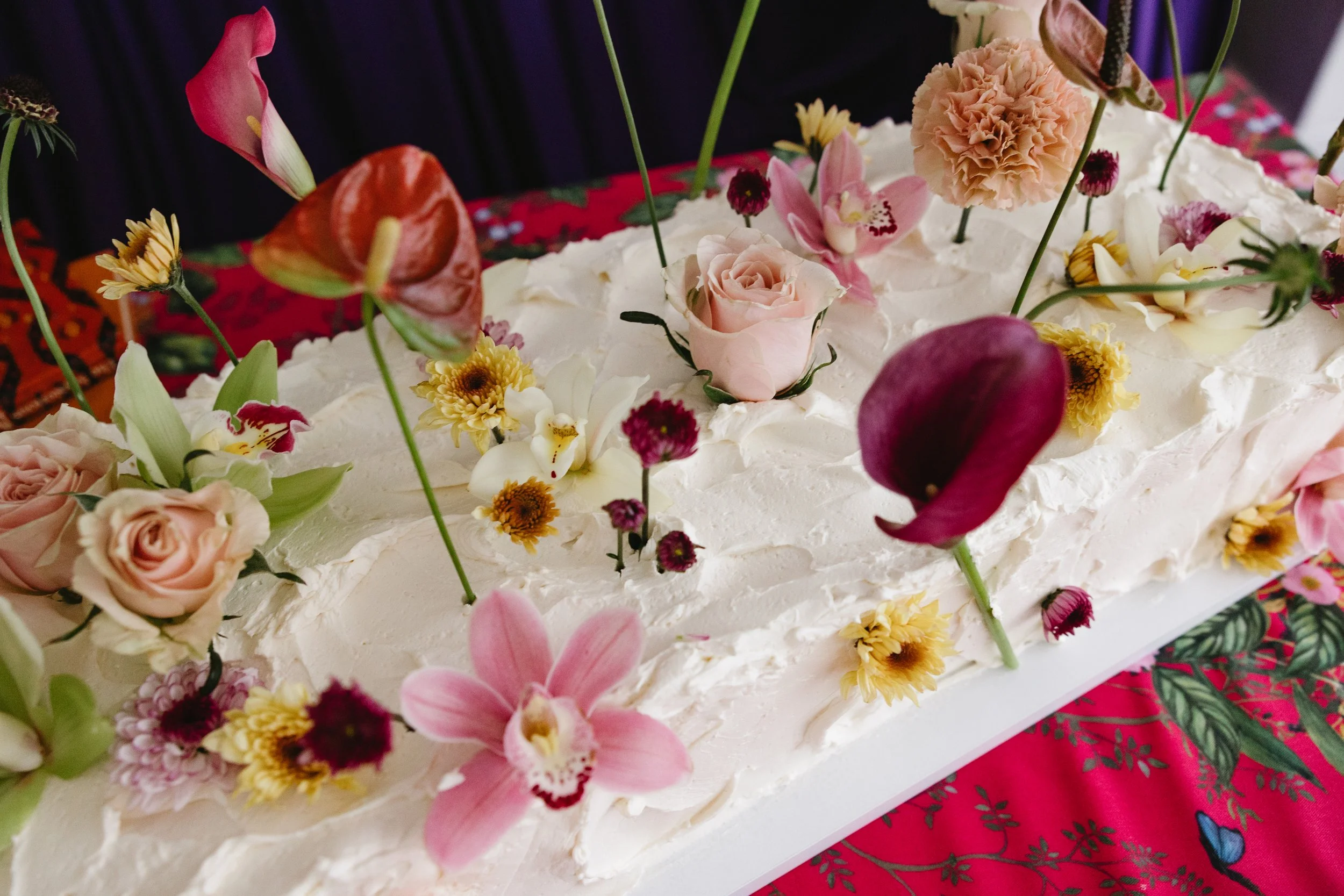 springintocolor-173.jpg