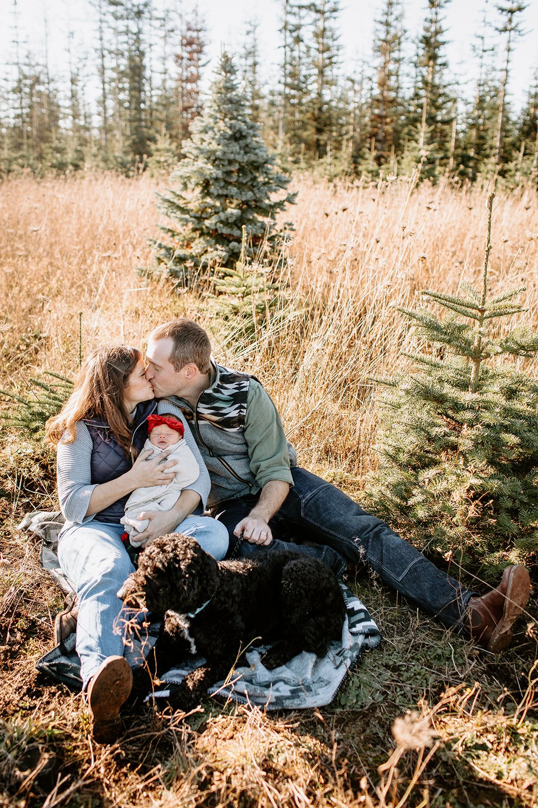 A family of three, including a woman, a man, and a baby, sitting outdoors on a blanket among small pine trees with tall golden grass in the background. The couple is kissing while holding their baby, and a black poodle dog is lying on the blanket in front.