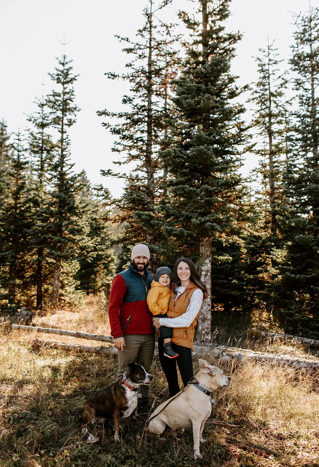 A family of three with two dogs in a forest with tall evergreen trees, during autumn.
The man wears a red and blue jacket with a beanie, and the woman wears a tan vest over a light gray sweater.
The child, held by the woman, is dressed in a yellow jacket and a gray hat.
The dogs, one brown and white and the other light tan, sit on the ground near the family.