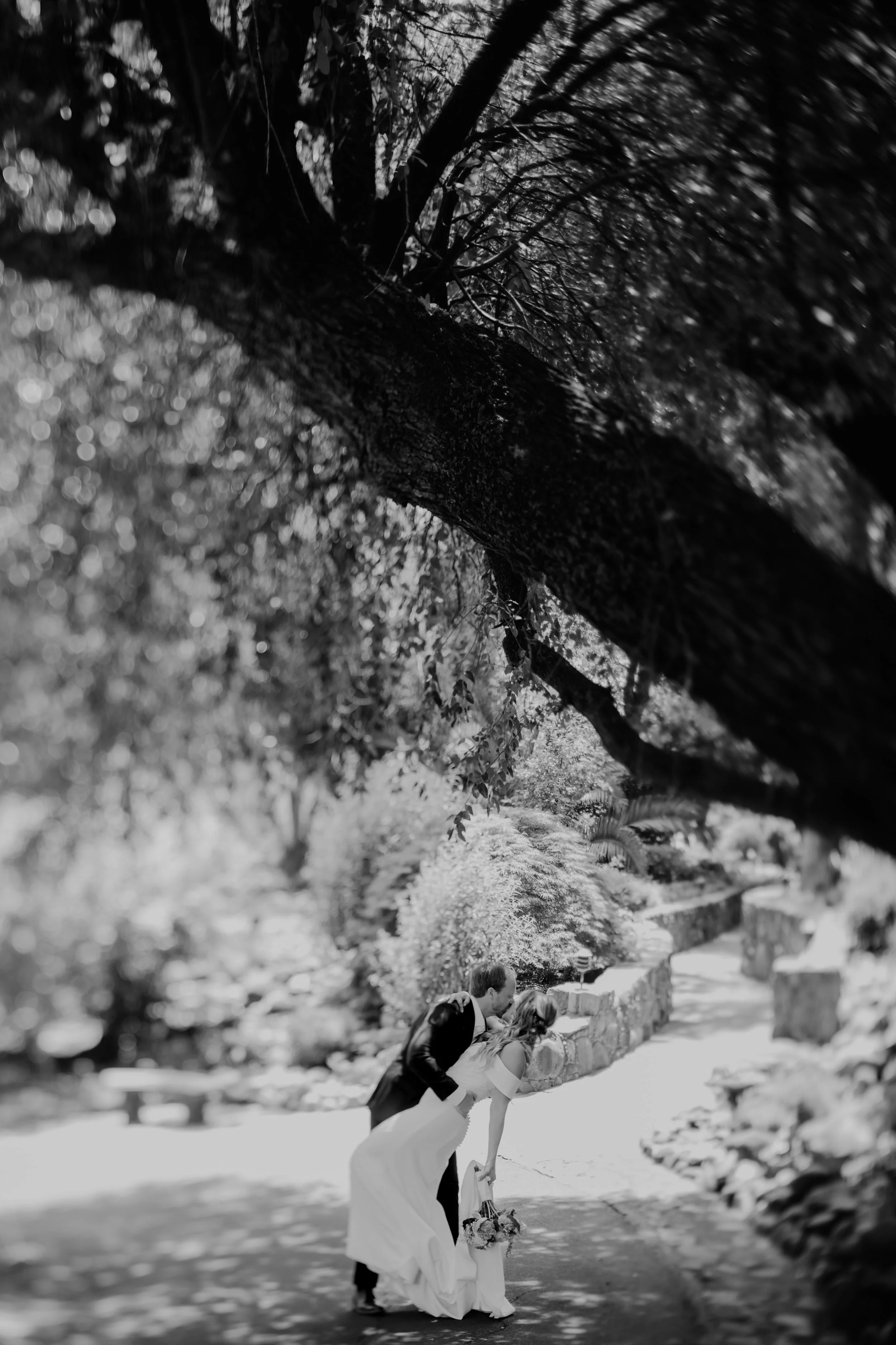 Katie+Kevin Law Cat Dossett I Take Photos-20.jpg