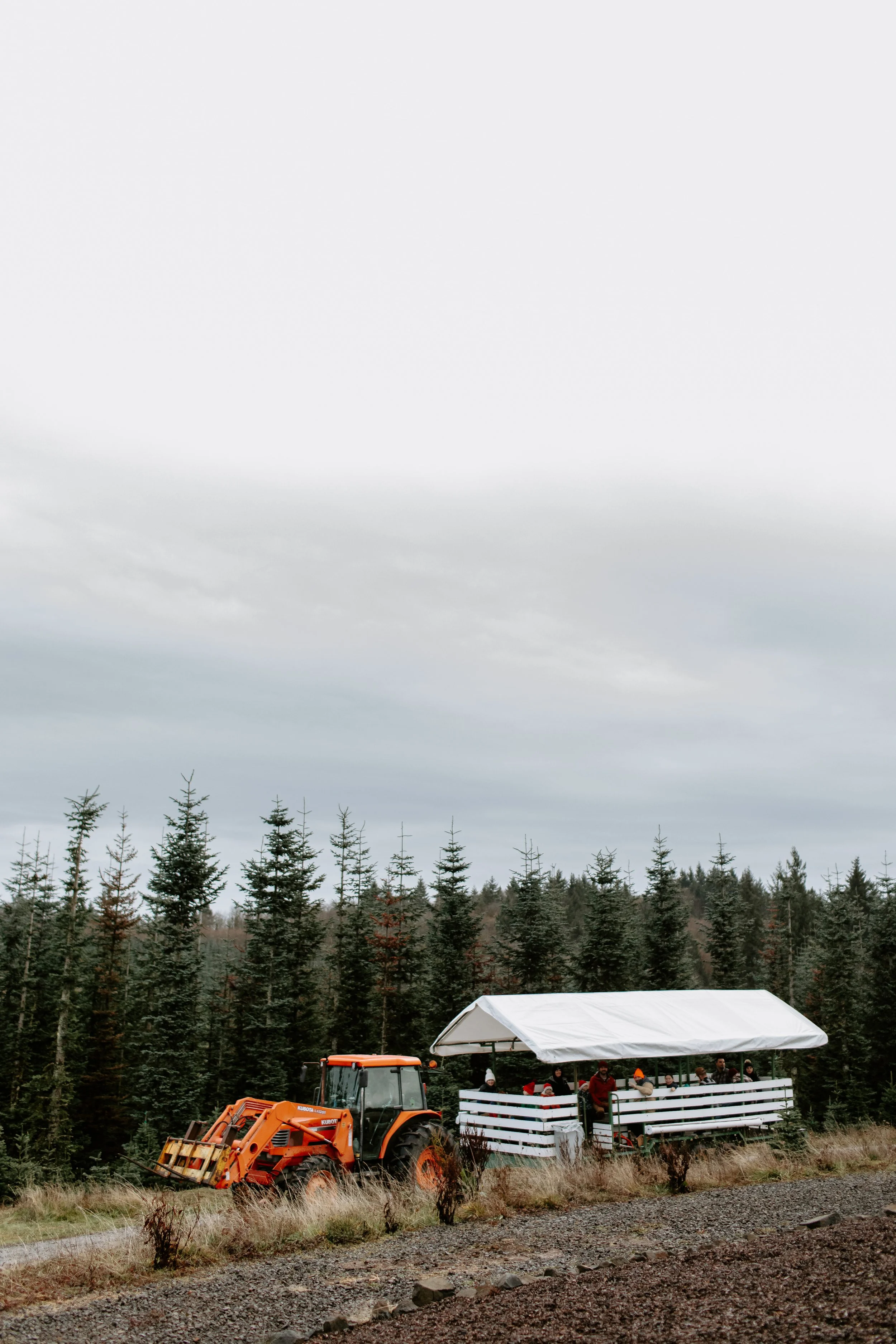 A tractor pulling a covered outdoor tram with people sitting inside, set against a background of tall evergreen trees under a cloudy sky.