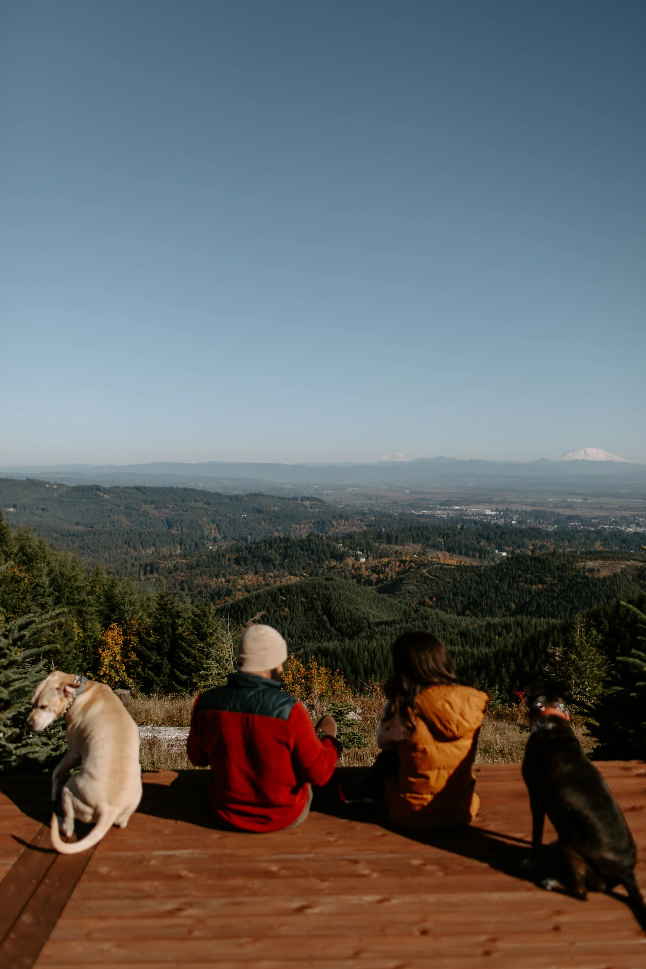 Two people and two dogs sitting on a wooden deck overlooking a scenic landscape of rolling green hills and mountains in the distance under a clear blue sky.