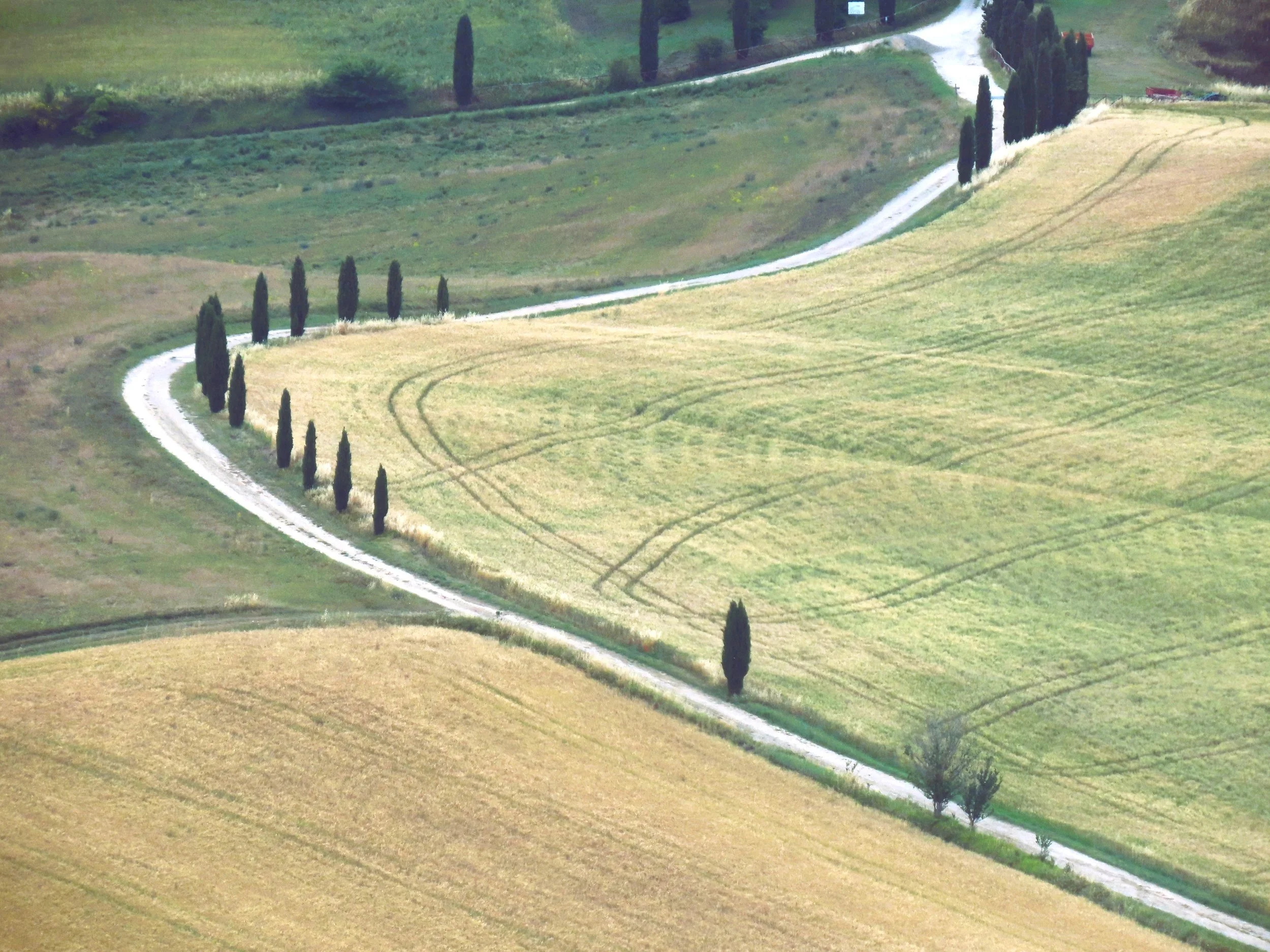 Paesaggio rurale con campi coltivati e strada sterrata che attraversa le campagne, circondata da file di alberi, in Toscana.