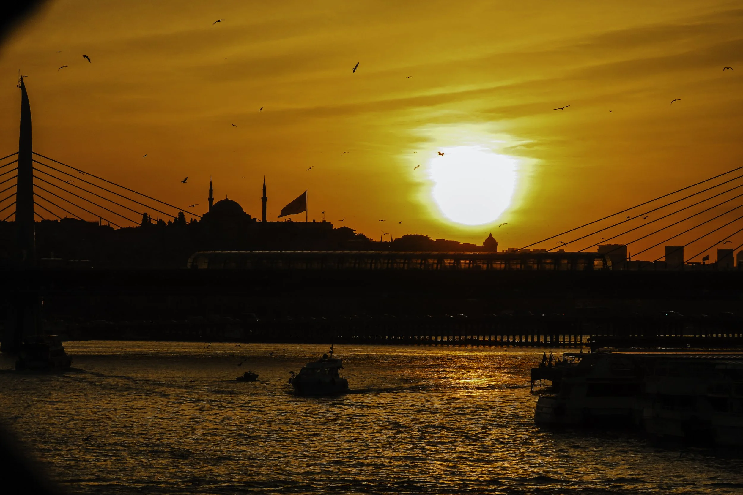 Tramonto sul Bosforo a Istanbul con silhouette di moschea e ponte, barche sul fiume, e uccelli nel cielo.