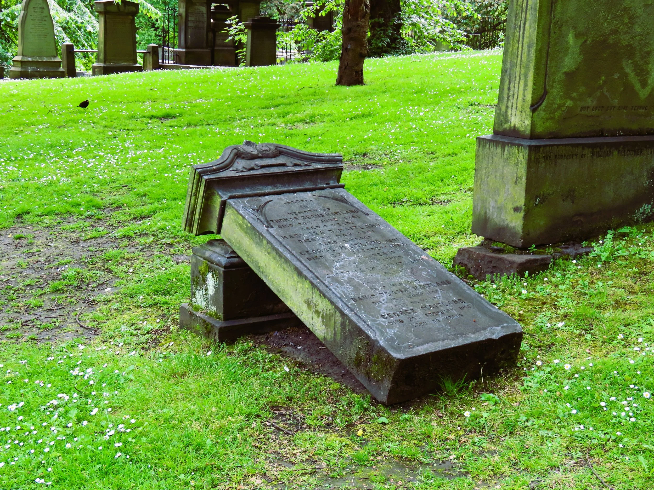 Lapide tombale inclinata nel cimitero con erba verde e altri monumenti funebri sullo sfondo.