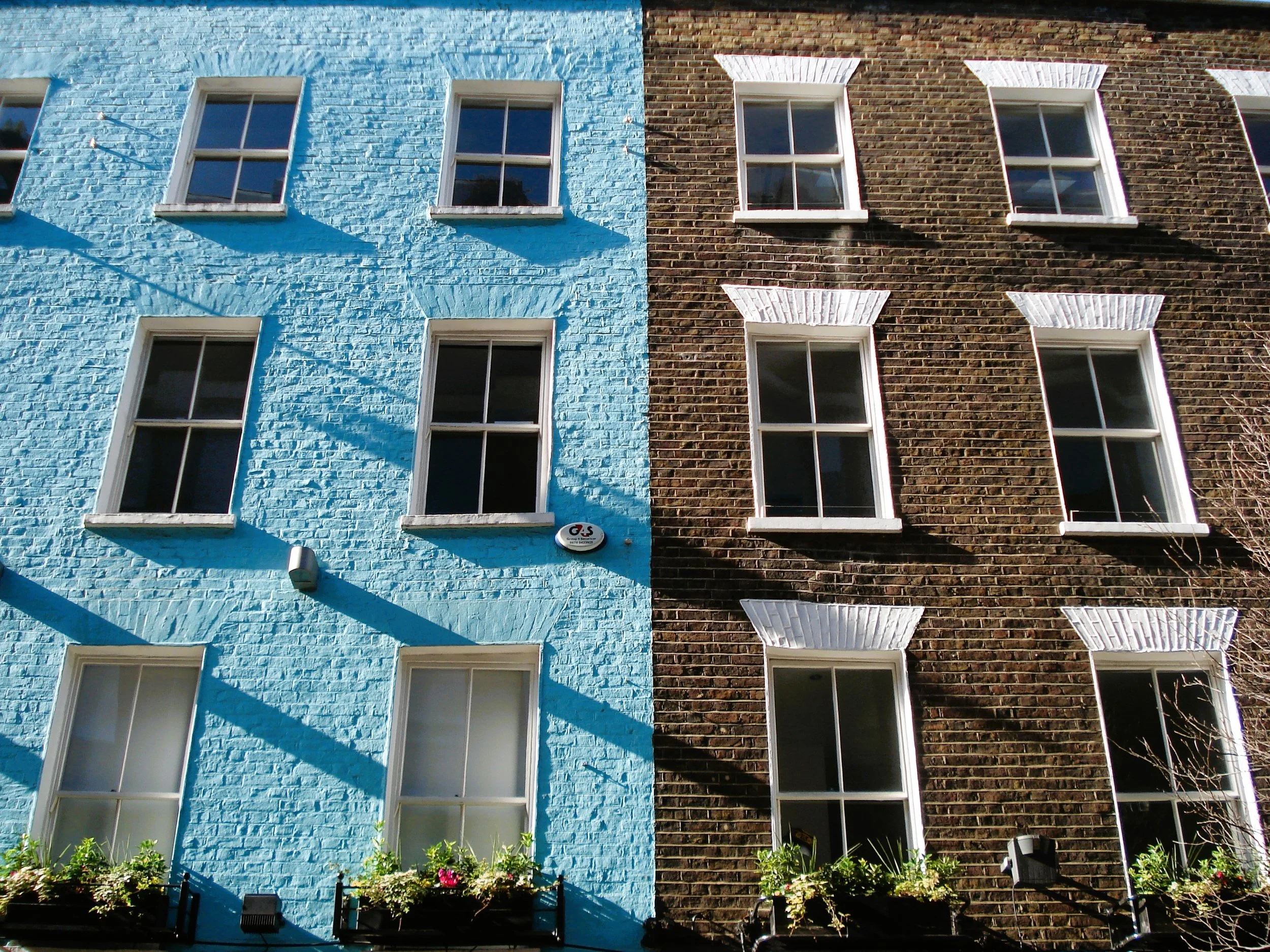 Facciate di due edifici, uno con muro azzurro e l'altro di mattoni, con sei finestre per ciascuno, piante decorate nelle finestre e ombre proiettate dal sole.