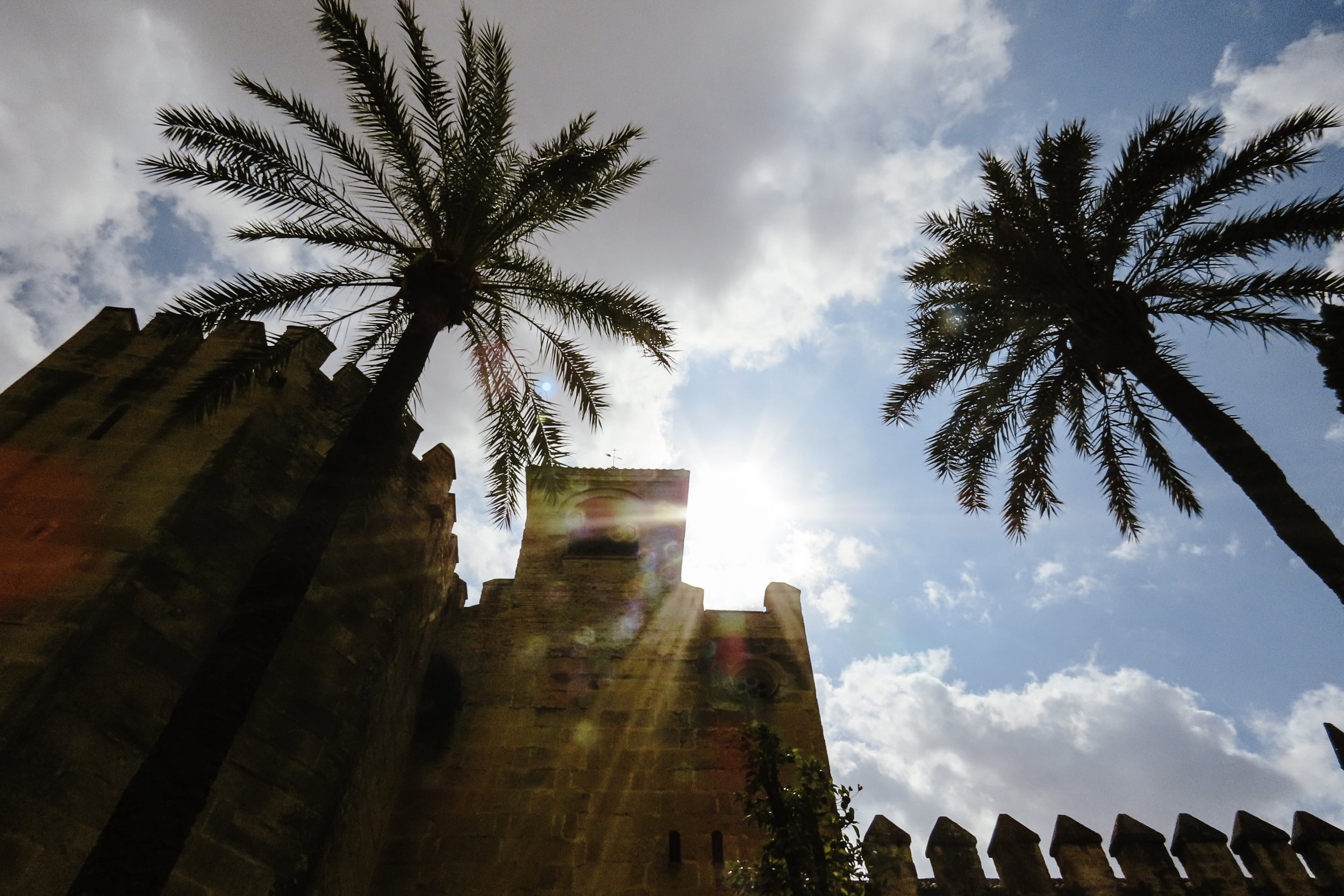 Palme con torre in stile medievale sullo sfondo di cielo azzurro con nuvole e sole che splende apparentemente dietro la torre.
